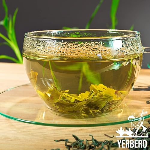 Miniatura 5 de Yerbero - Té de hierbas sueltas a granel Moronel 16oz (1 lb) (4.02 oz)  Planta De La Vida  Hookcon Synadenium Grantii  Para elaborar té Moronel  Té