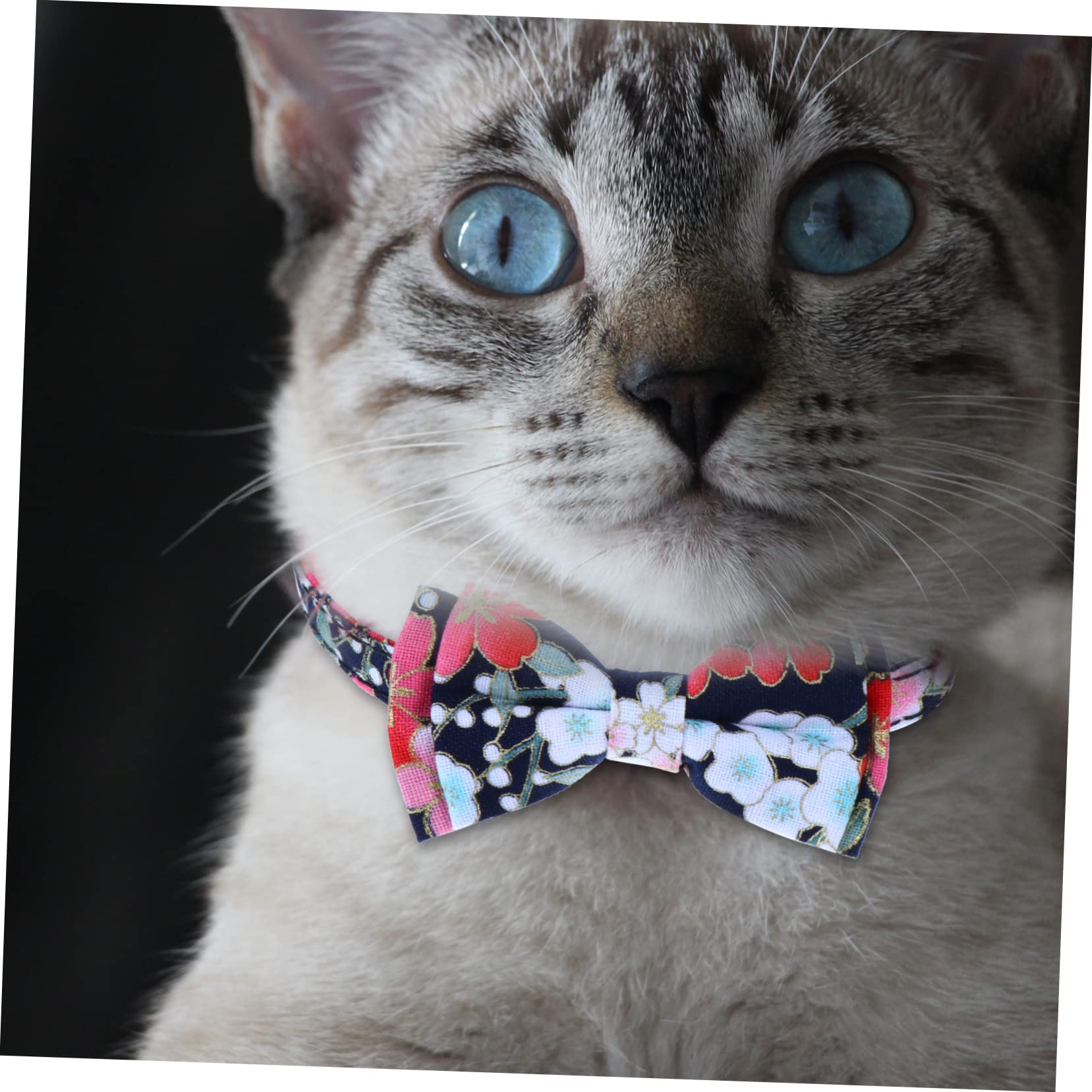 SUPVOX 9 Pz Collare Per Gatti Domestici Cravatta Floreale Gattino Graziosi Collari Per Cani Elastici Per Con Fiocco Per Cucciolo Cintura Per Gatti Stoffa Gatto Domestico