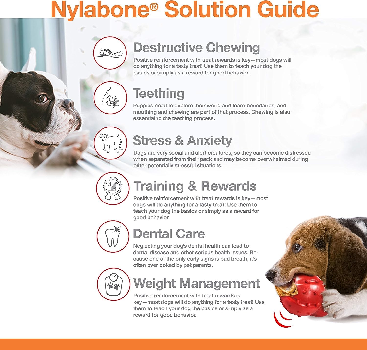 Nylabone Juego de 2 juguetes para perros de Power Masticar Extreme Masticar Extreme Masticar Masticar Masticador Alternativo Masticador, Gigante, Hecho en los Estados Unidos