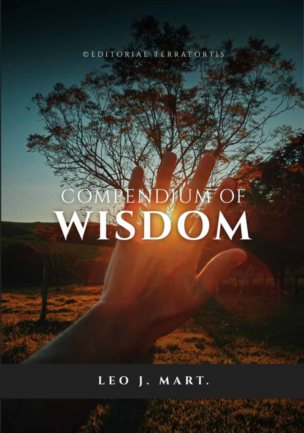 Compendium of Wisdom: Wisdom, more Wisdom (Jesus Speaks About)