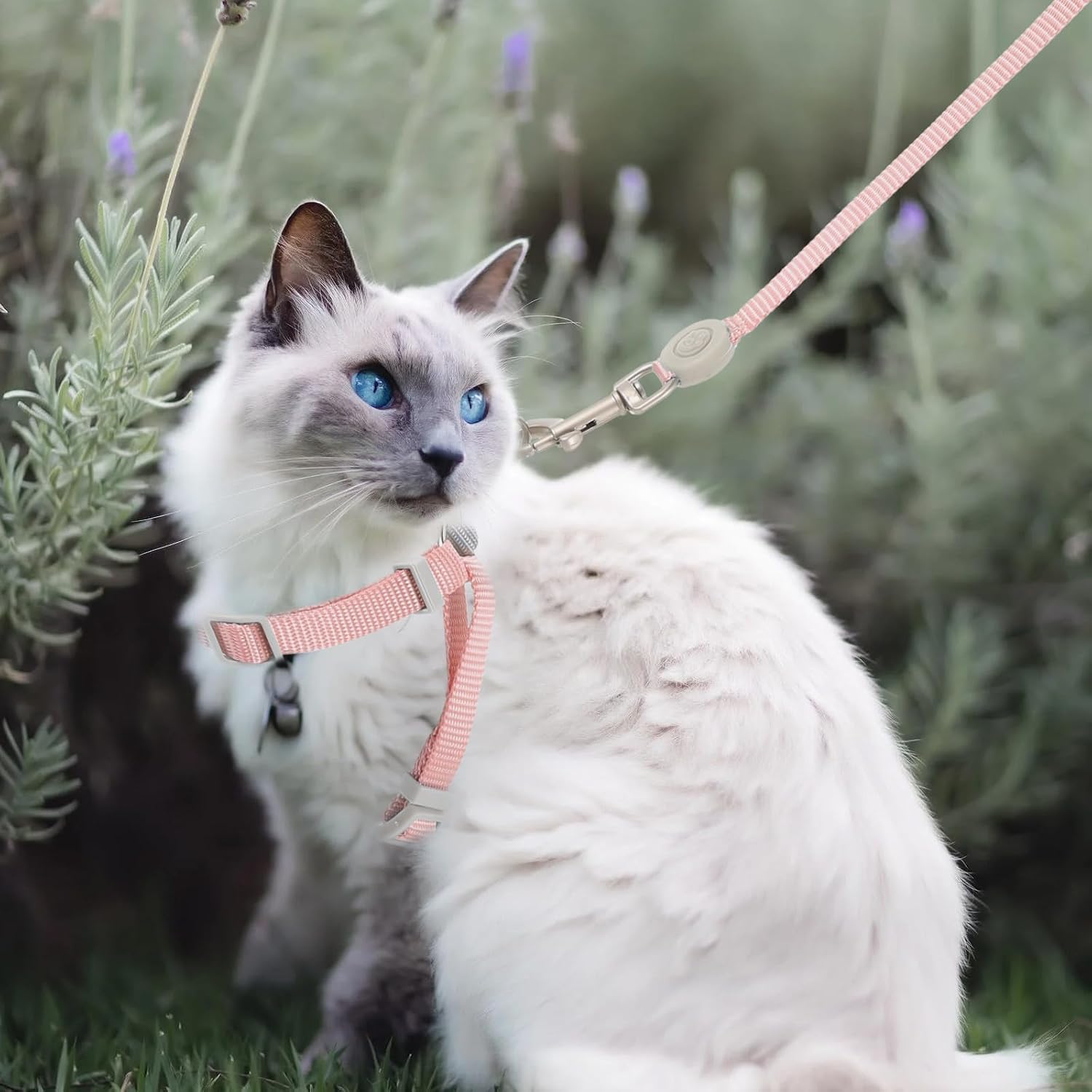 Levemolo Small Adjustable Pink Cat Harness and Leash Set Soft Nylon Kitten Walking Rope for Outdoor Use