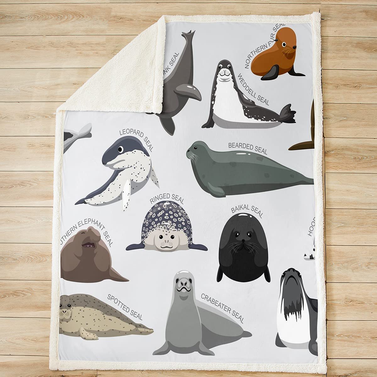 Loussiesd Kids Cartoon Seal Throw Blanket Cute Ocean Marine Animal Fleece Blanket for Bed Sofa Boys Girls Sea Creature Sherpa Blanket Seal Collection Fuzzy Blanket Bedroom Single 50x60 Inch - Image 2