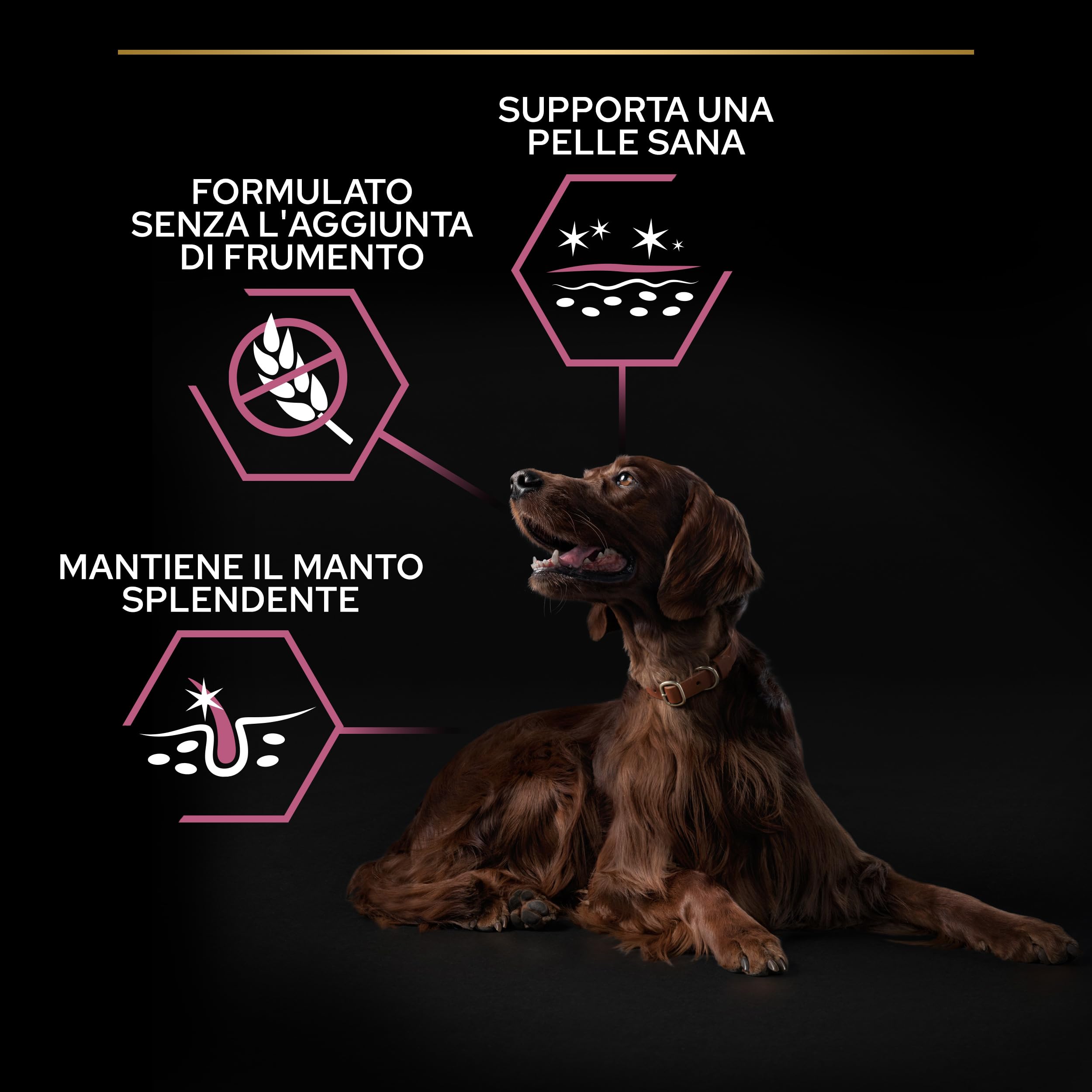 PURINA PRO PLAN Sensitive Skin Large Athletic Crocchette per Cani Adulti con Pesce Sacco da 14kg