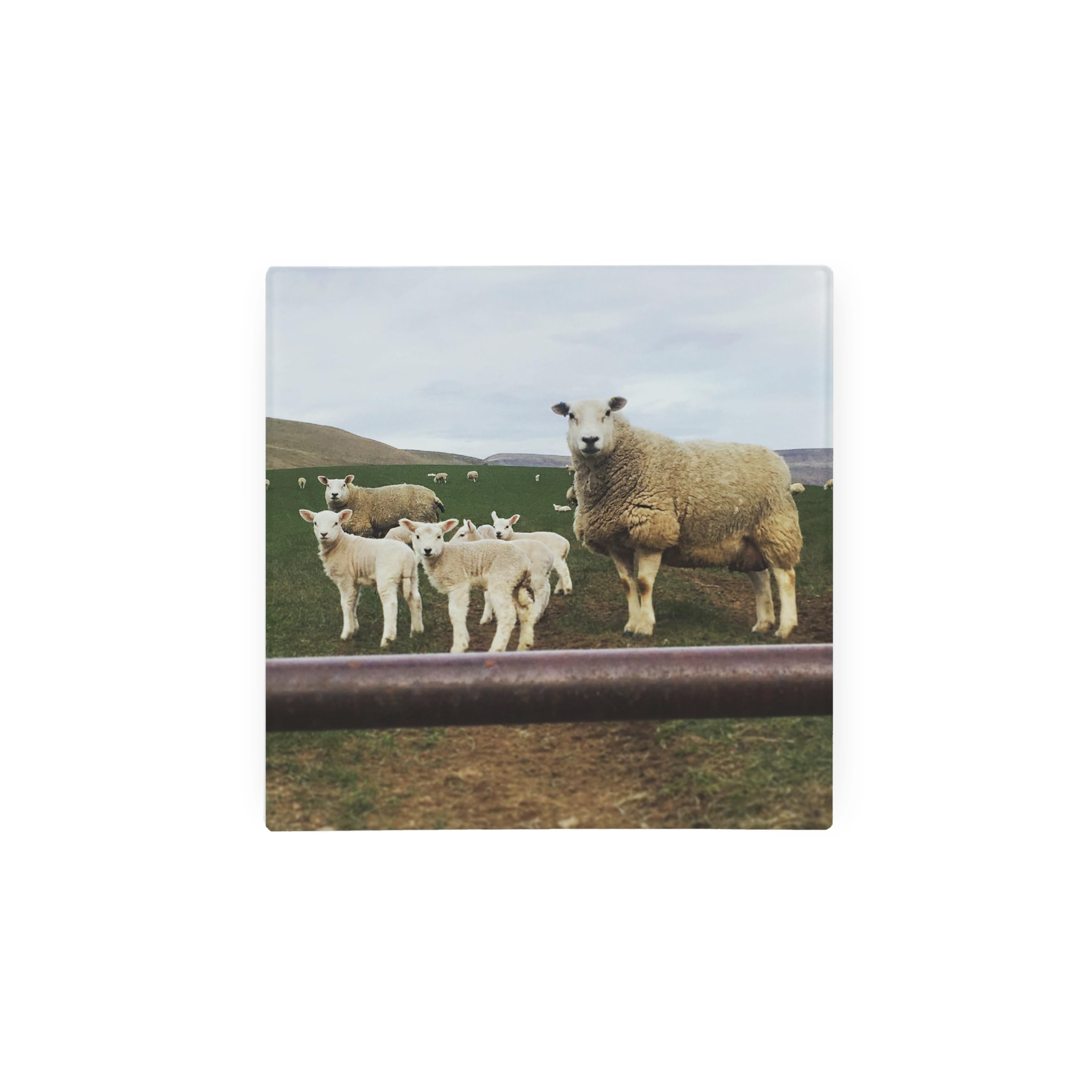 Lambs Hot Pot Stand Trivet - Country Farm Sheep Gift/Present - Kitchen Chopping/Cutting Board Worktop Protector with Non-Slip Feet 20cm x 20cm (8" x 8")
