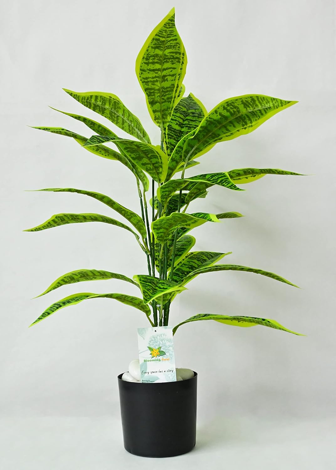 Buy Blooming Floret Polyester Artificial Snake Plant Pot Big