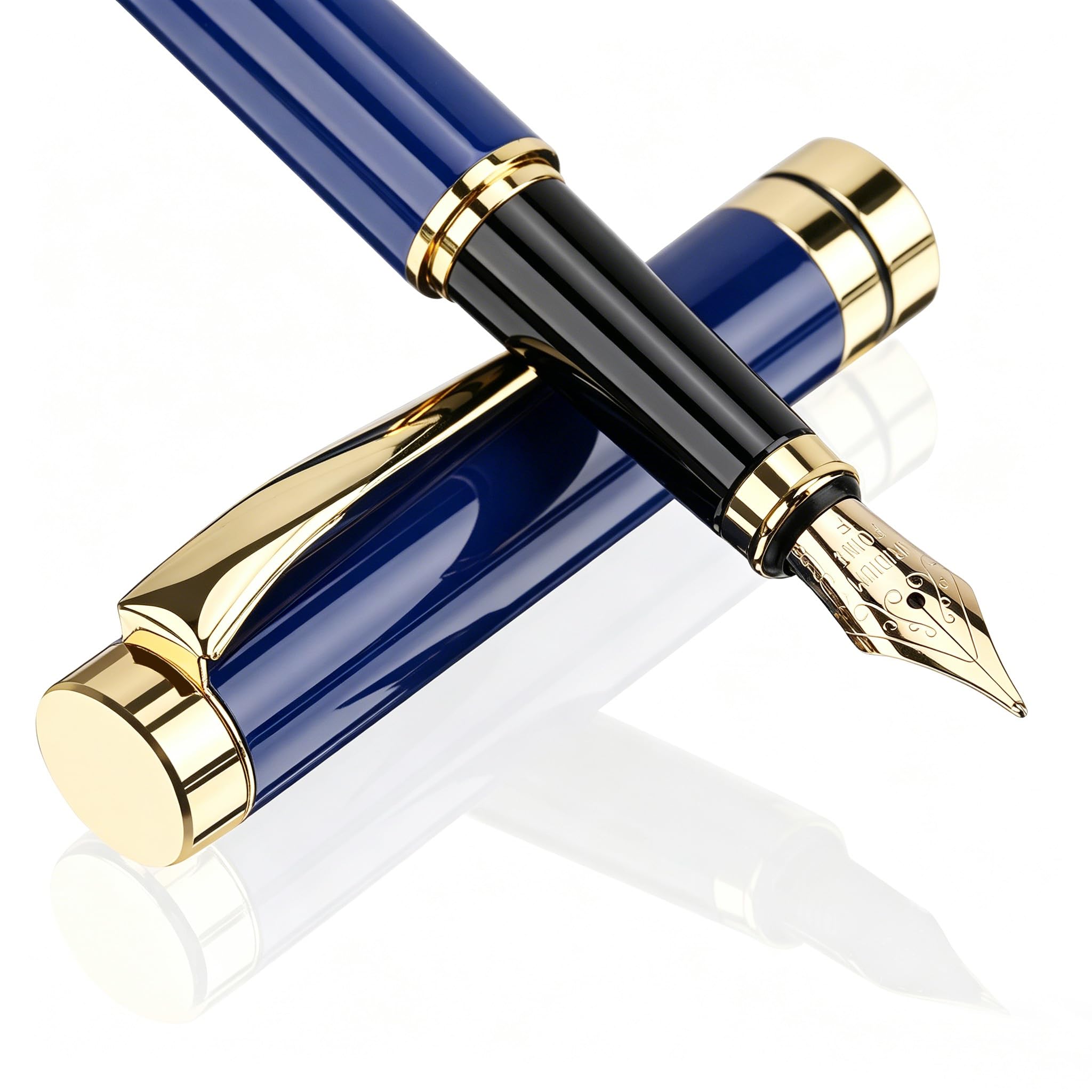 Tiankool Luxury Fountain Pen,Fine Nib, Exquisite Pen Gift Set for Men&Women-Includes 10 Ink Cartridges&Ink Converter- Nice Pens - Blue