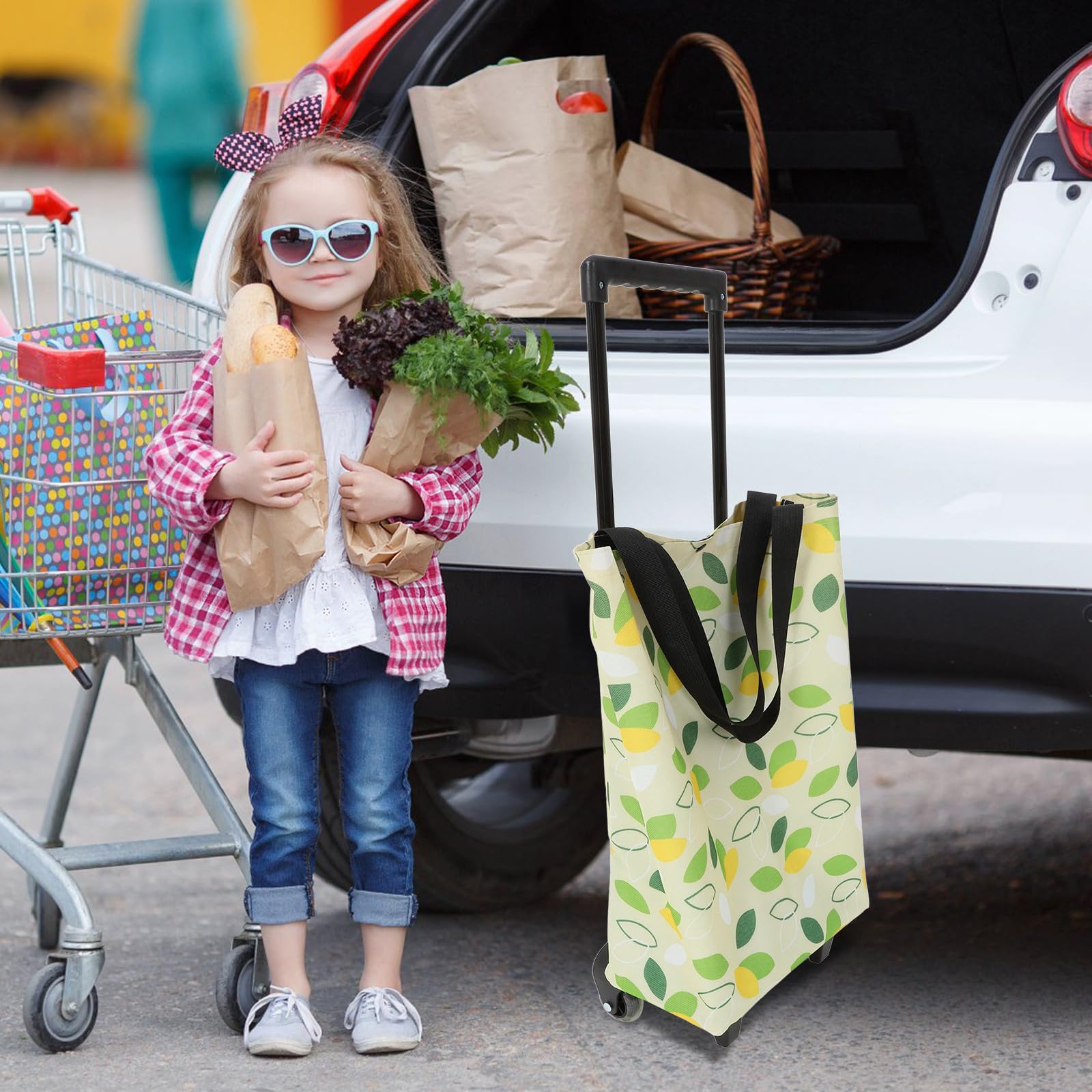 Carrello della Spesa Borsa per Spesa Leggera Oxford con Ruote Pieghevole e Manico Telescopico per Supermercato e Viaggi