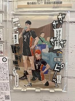 Amazon.co.jp: ジャンプGIGA 2022 AUTUMN ハイキュー!! 応募者全員