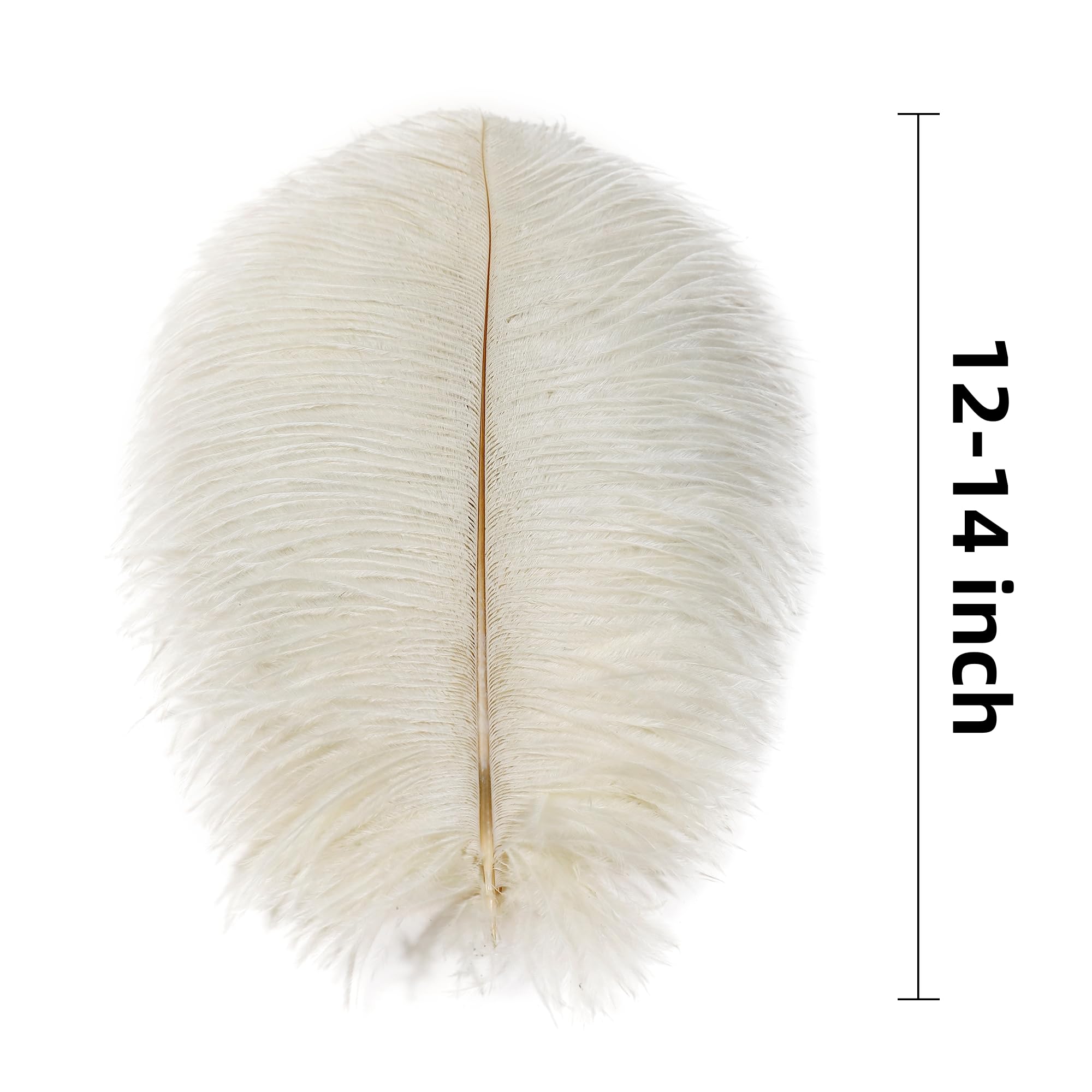 Piume di struzzo beige, 24 pezzi, 30,5-35,6 cm, color crema, per vasi, centrotavola per feste di nozze e decorazioni per la casa