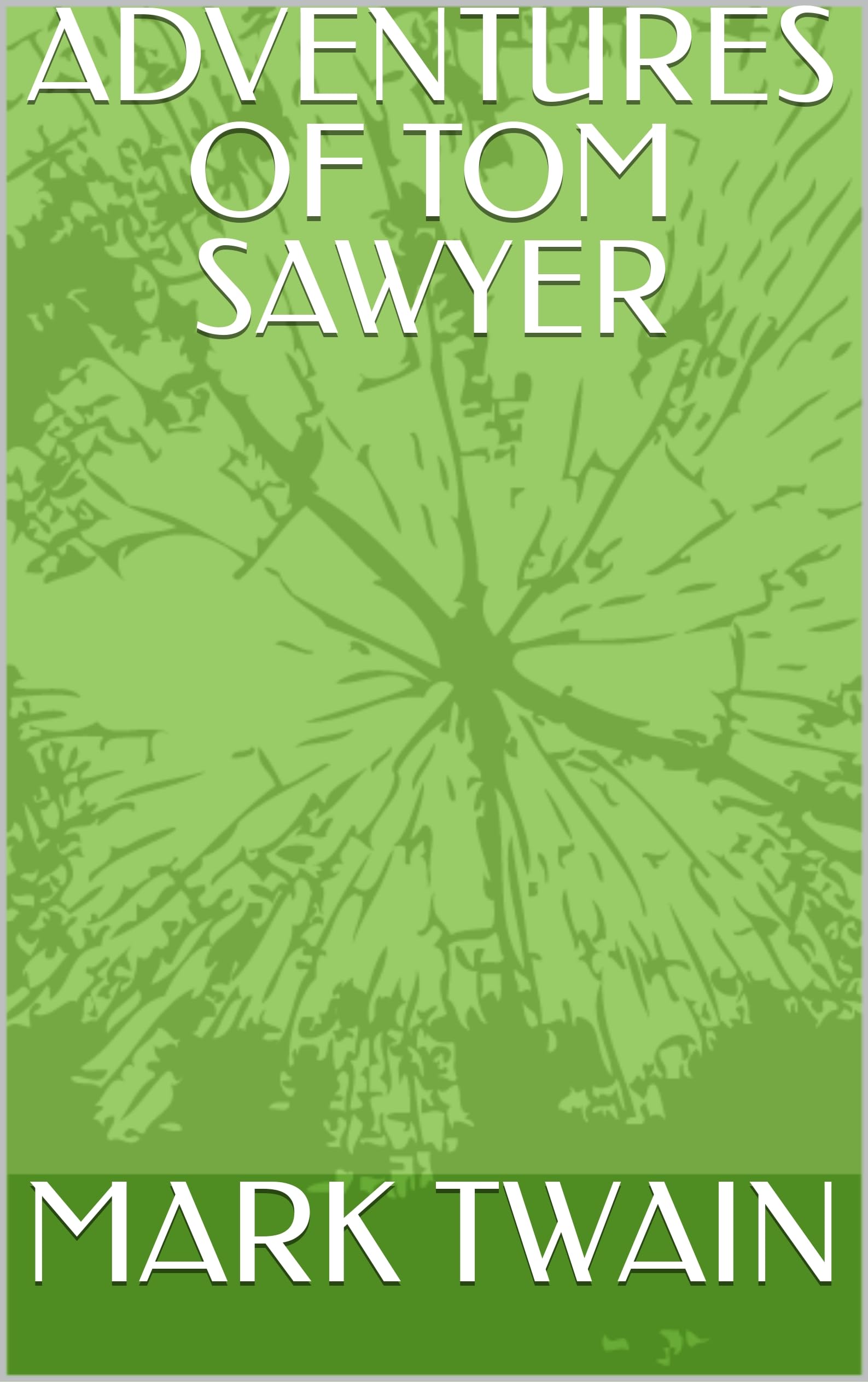 ADVENTURES OF TOM SAWYER