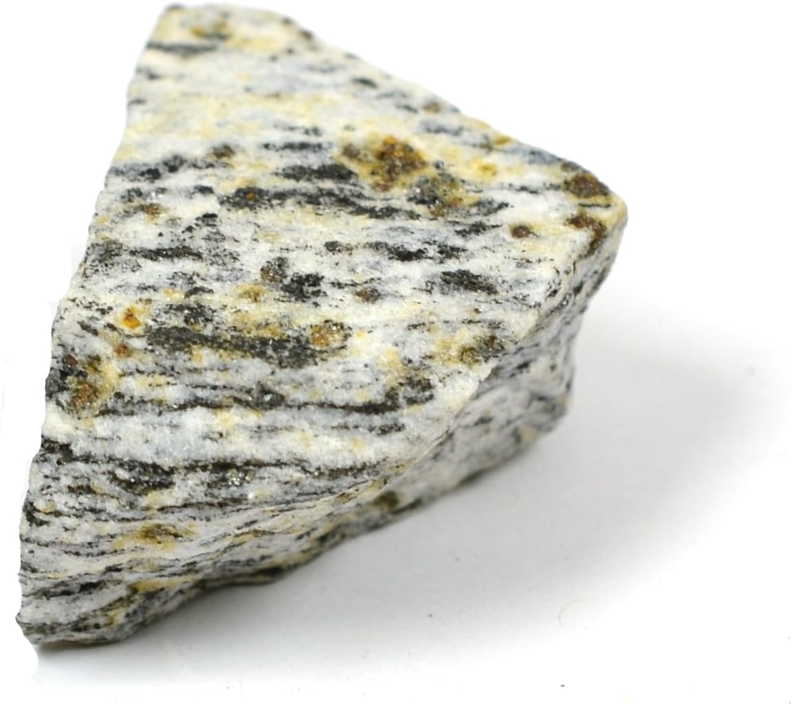 EISCO Biotite Gneiss Specimen (Metamorphic Rock), Approx. 1" (3cm) - Pack of 12