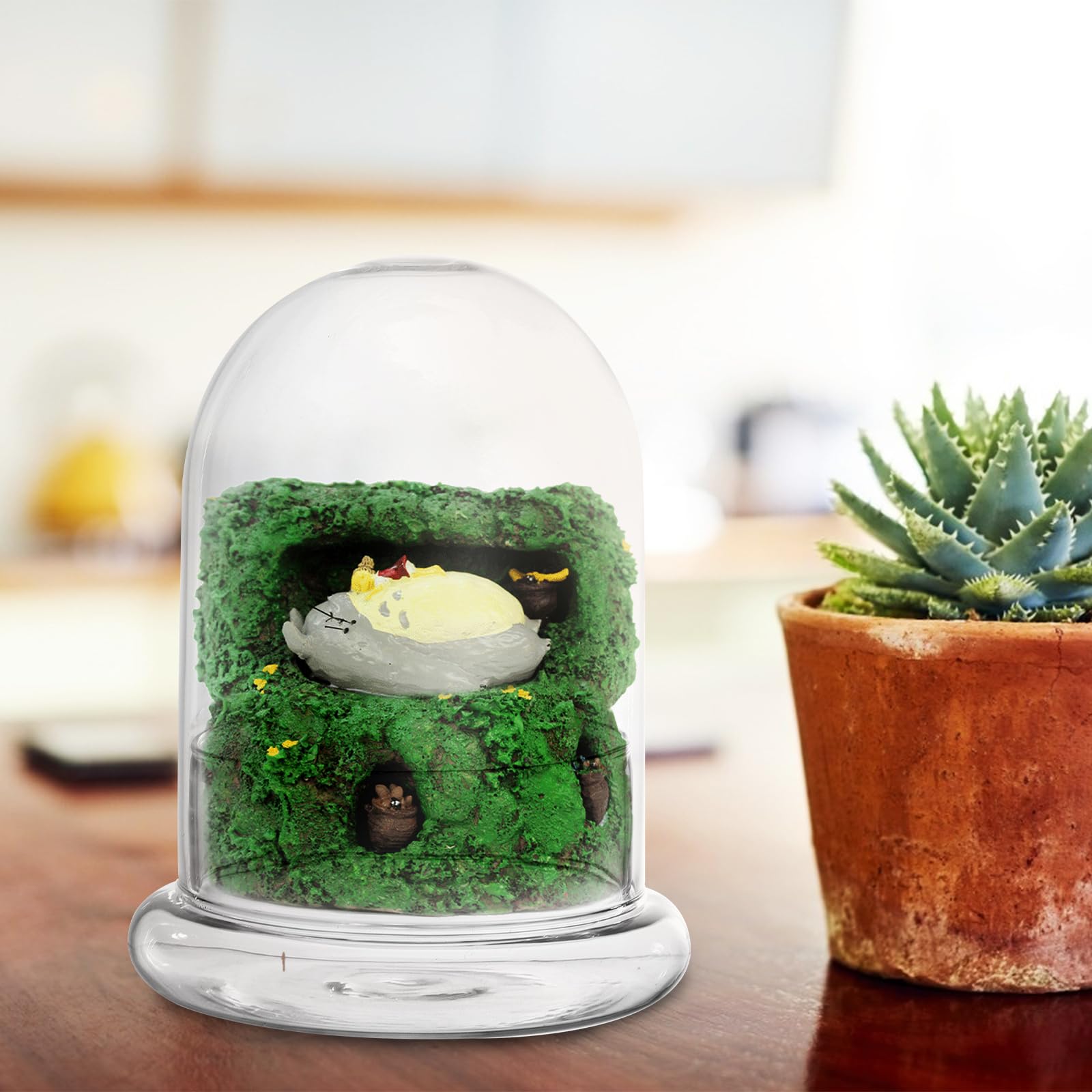 Angoily Ecological Bottle Moss Terrarium Jar with Glass Dome and Base for Diy Micro Landscape Display Home Office Ornament - Image 2