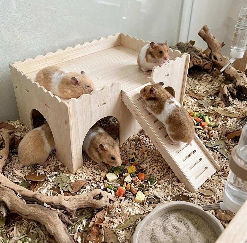 Drewniany domek do aktywności dla świnek morskich z rampą i 4 wejściami, wielokomorowa kryjówka i plac zabaw dla szynszyli, chomików