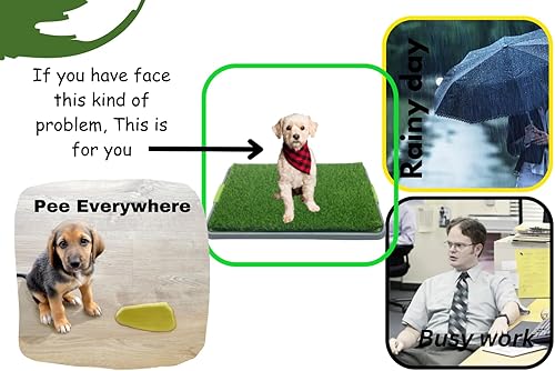 Miniatura 7 de Almohadilla de césped para perros con bandeja, soporte de almohadilla de 27 x 17 pulgadas para perros, caja de arena para orina de cachorros,