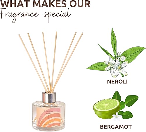 Miniatura 3 de Folkulture Juego de difusor de varillas con varillas para el hogar, 3.38 fl oz (3.4 fl oz), difusores de aceite esencial con 6 varillas de junco,