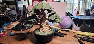 Review Image by robert