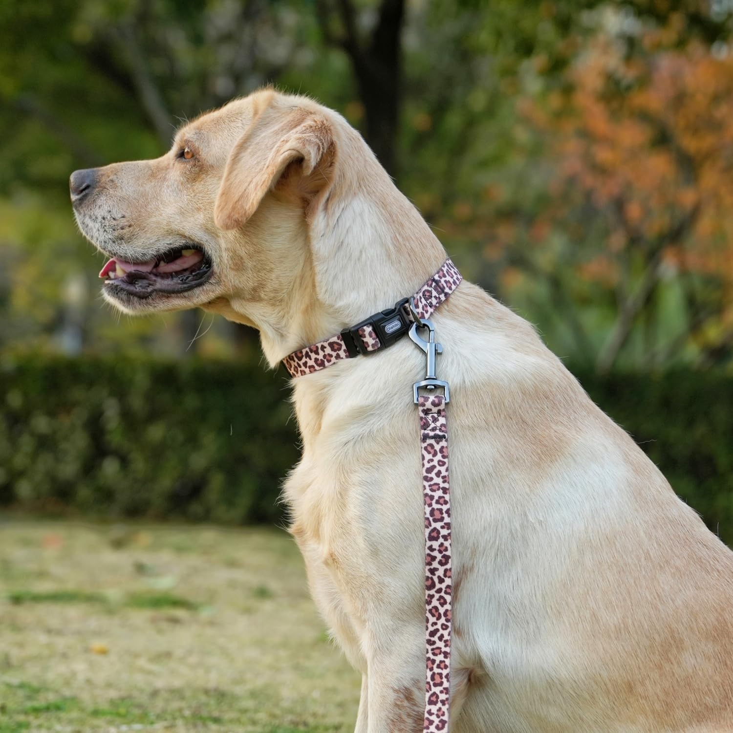Set combinato collare e guinzaglio per cani, motivo leopardato, materiale poliestere, guinzaglio abbinato 150 cm, piccola taglia (S, caffè chiaro leopardato)