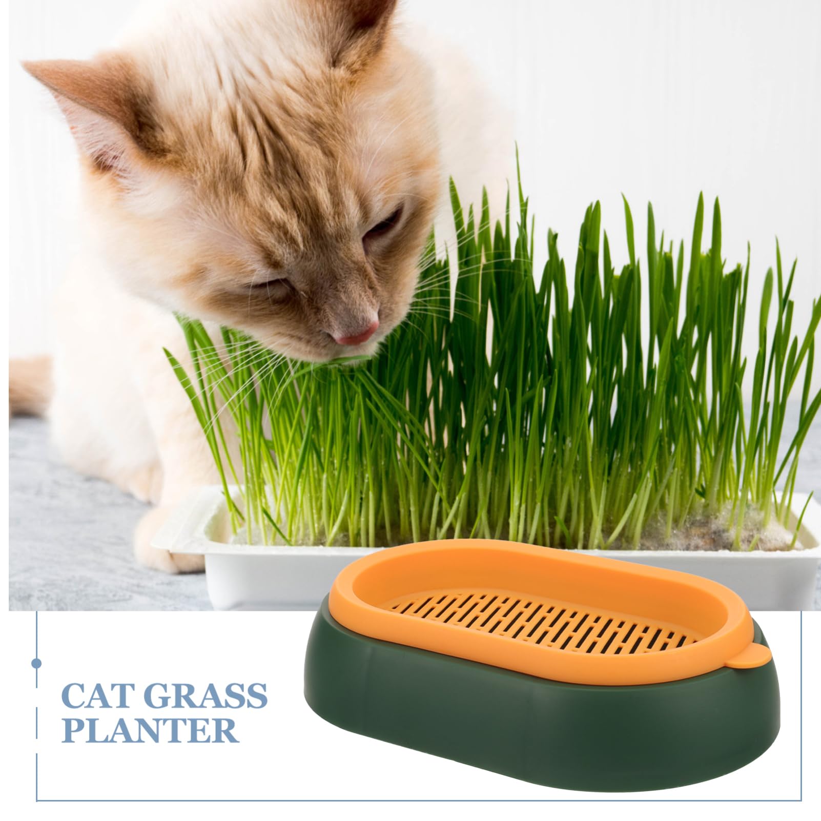 Kattengras Pot - Compact 2-Laags Dienblad Antislip Onderkant