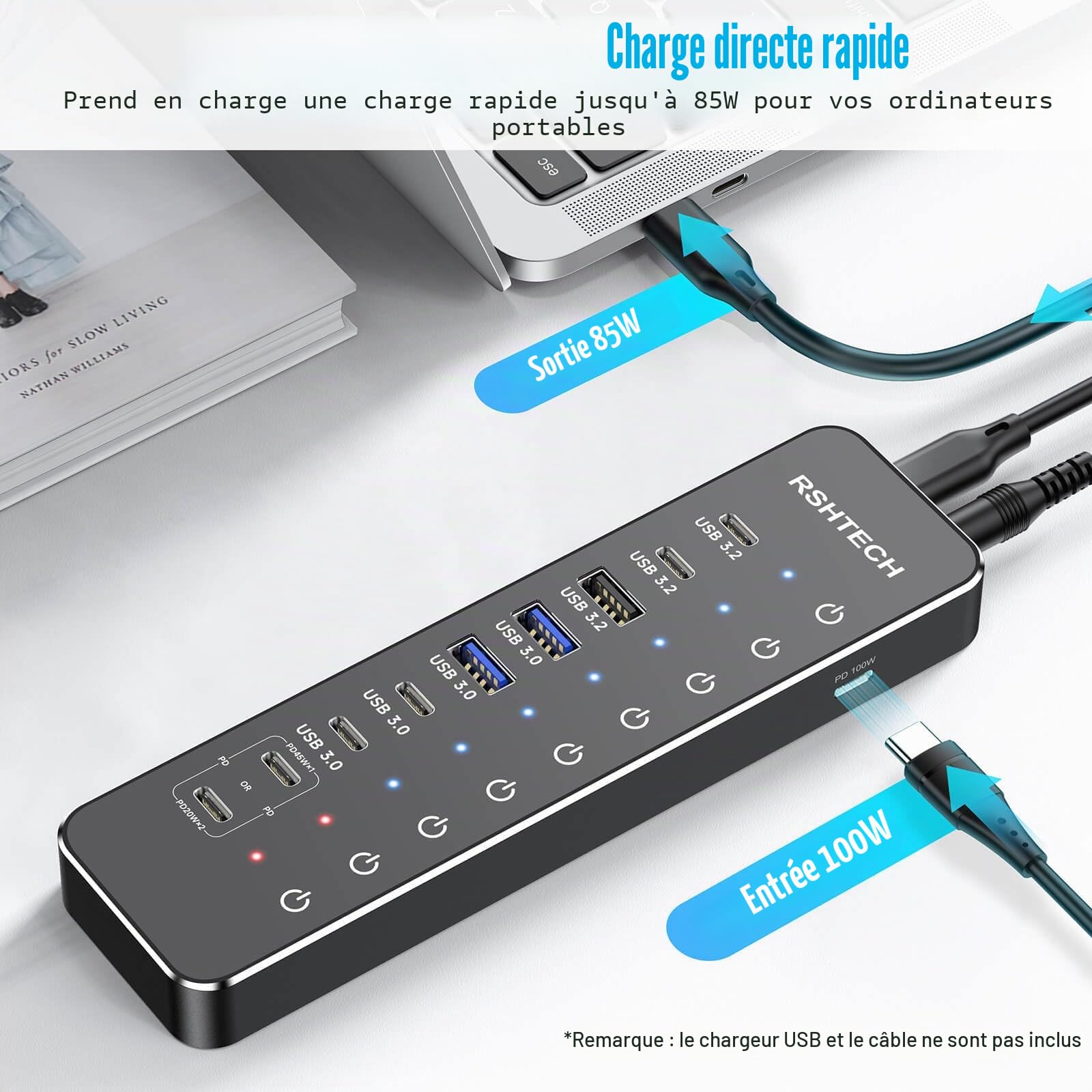 RSHTECH 10 Ports Hub USB Alimenté, Alimentation 66W Hub USB C, RSH-ST10P | Incluant 3 Ports USB 3.2 à 10Gbps(2C+1A), 4 Ports USB 3.0 à 5Gbps (2C+2A), 2 Ports USB-C à 45W Charge Rapide, PD 100W