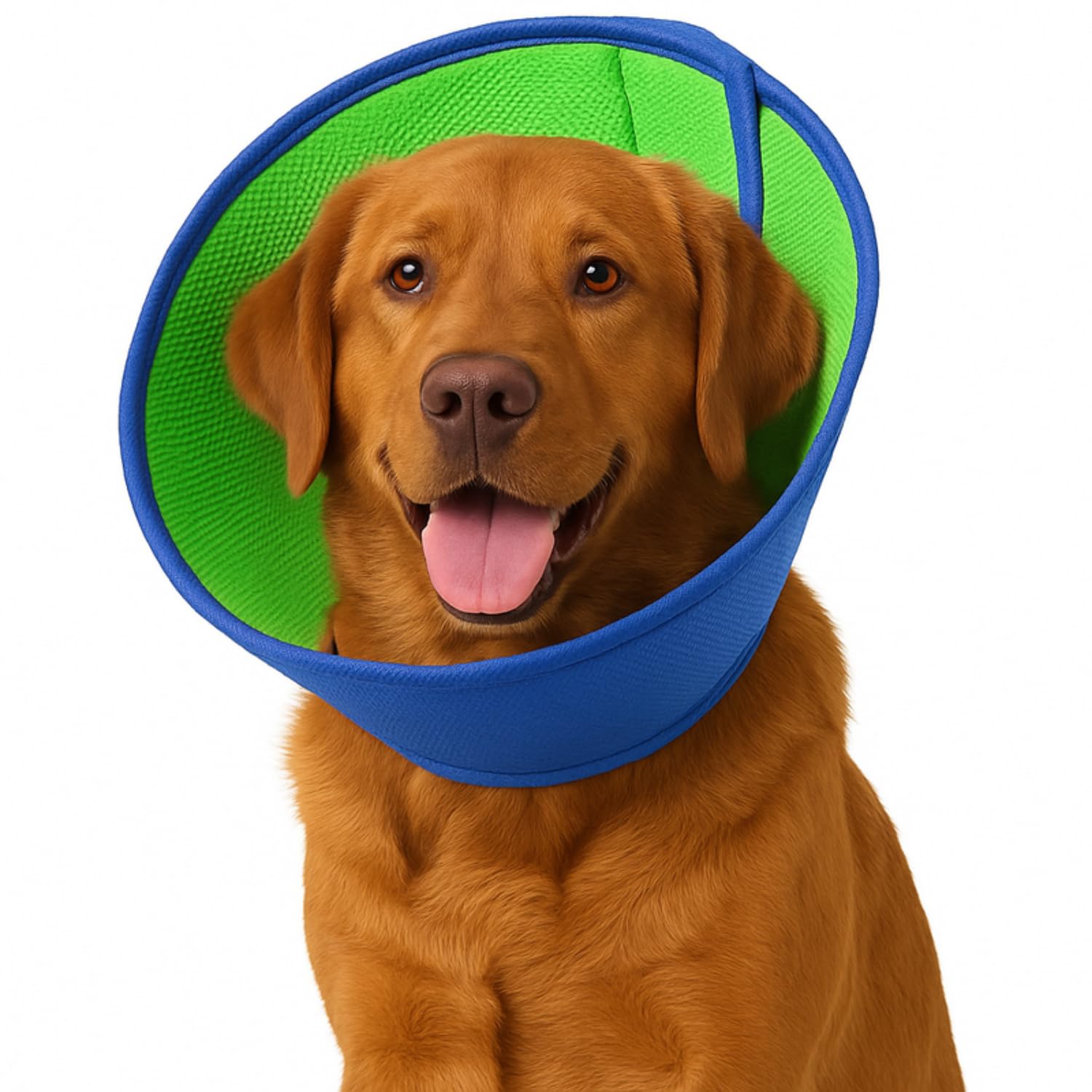 Dog Cone Collar (Green&Blue, S (23-27cm))