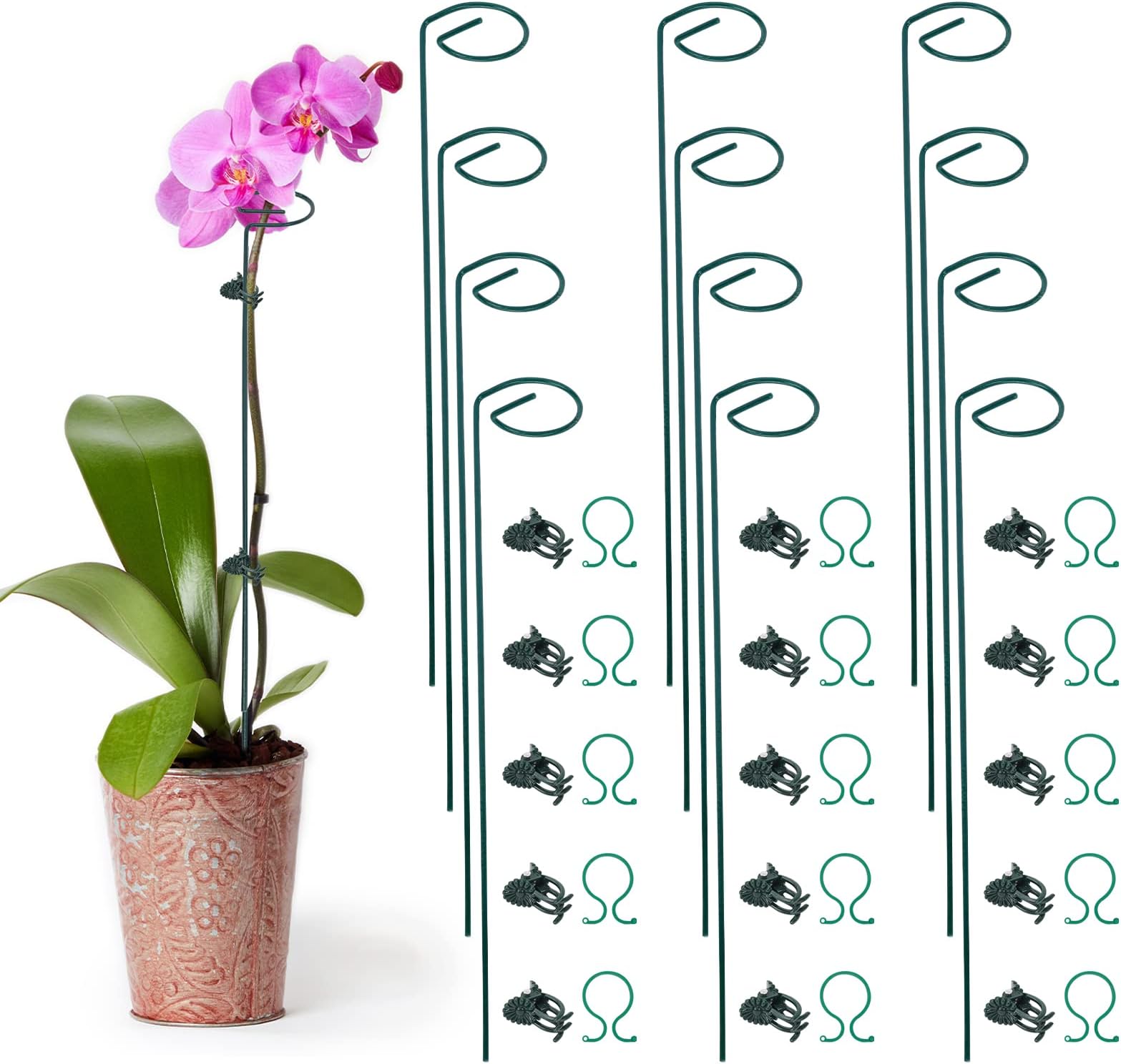 Whonline Plant Support Stakes,12 Packs,17 Inches, Amaryllis Stakes with 30pcs Plant Clips,Single Stem Plant Stake Support Rings for Tomatoes, Flowers Stakes and Supports