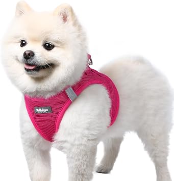 rabbitgoo Step-in Small Dog Harness, Puppy Vest for Small Sized Pet | Easy Put on and off, Lightweight, Soft, Breathable Quick-Dry Air Mesh for Comfortable Secure Walking, Rose Red S