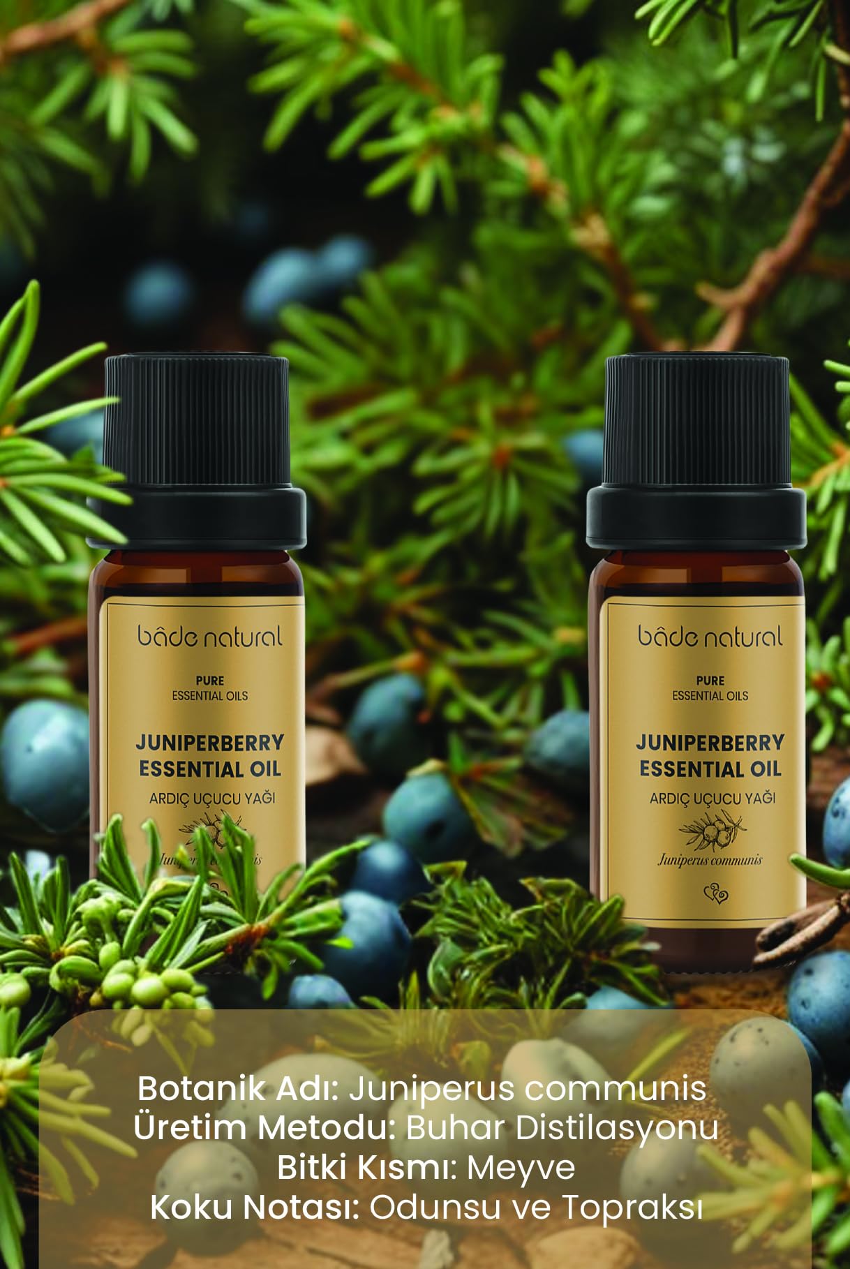 Bade Natural Ardiç Uçucu Yağı 1 Paket (1 X 10 Ml)
