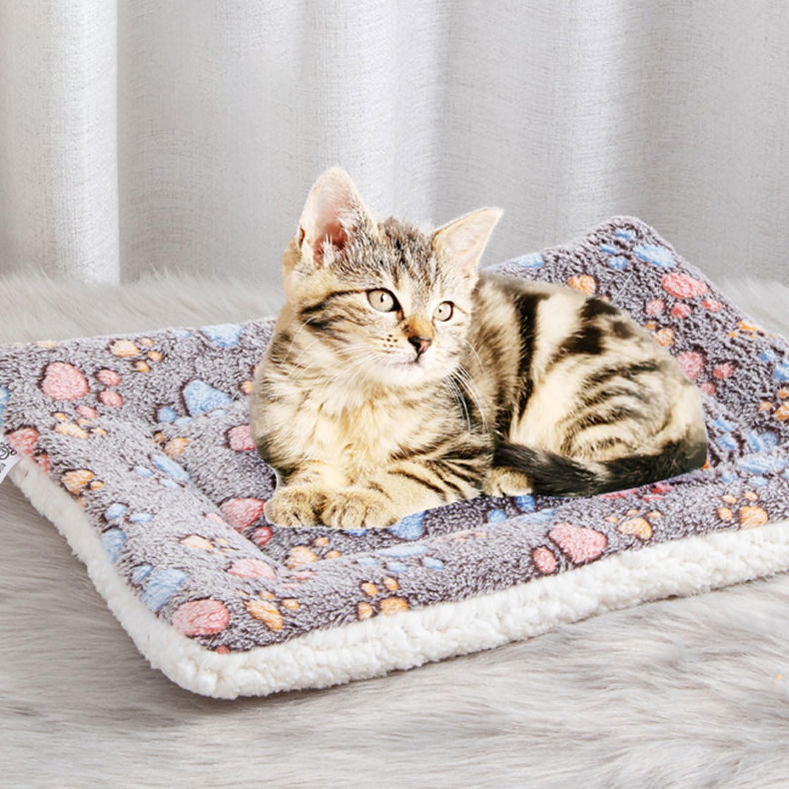 Haustier-Sofa Mit Hohem Rand – Plüsch, Waschbar, Rutschfest, Größen S Bis XXL Für Hunde & Katzen