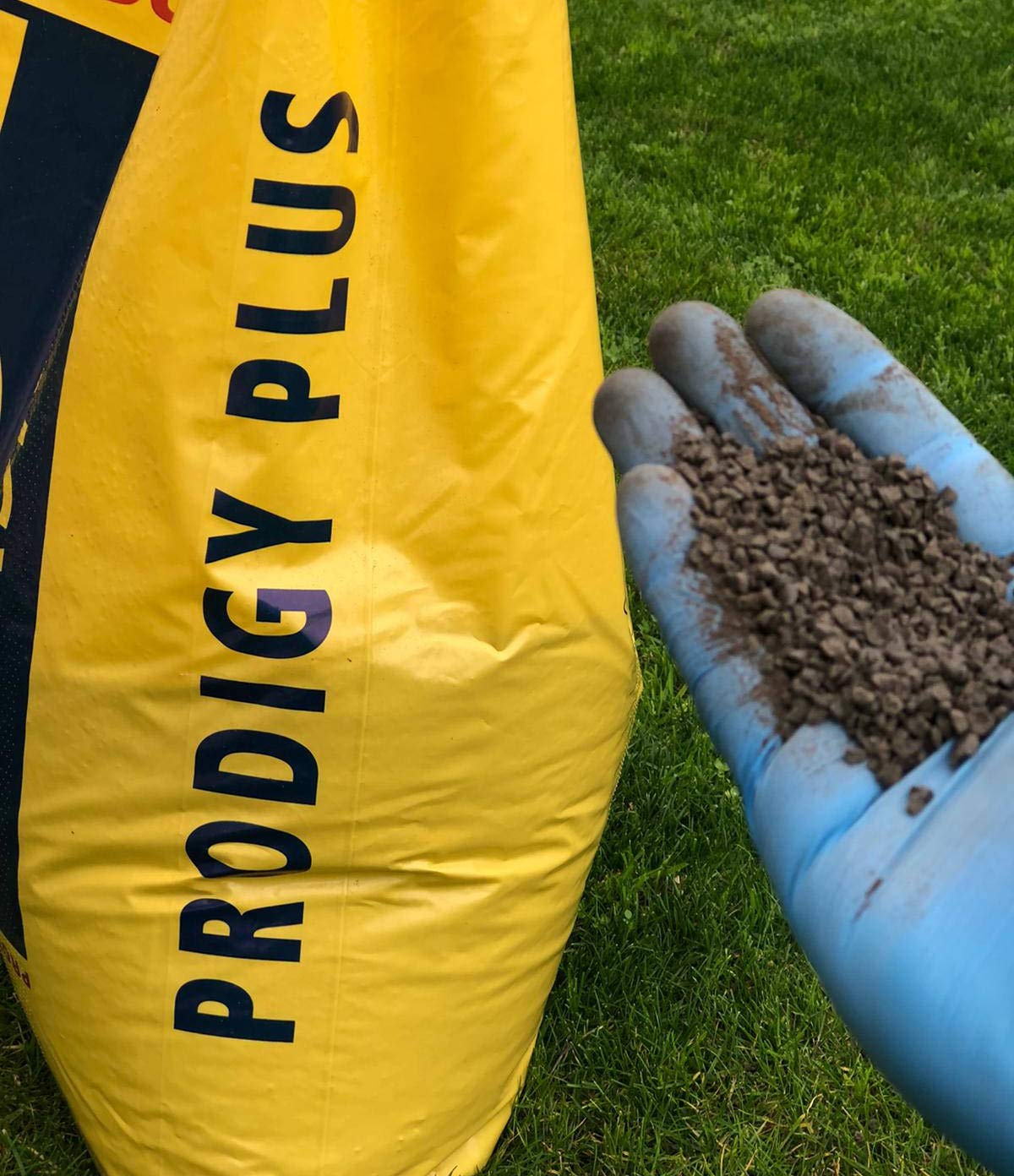 Biogard Prodigy Plus Concime Organico pellettato 25 kg consentito in Agricoltura Biologica