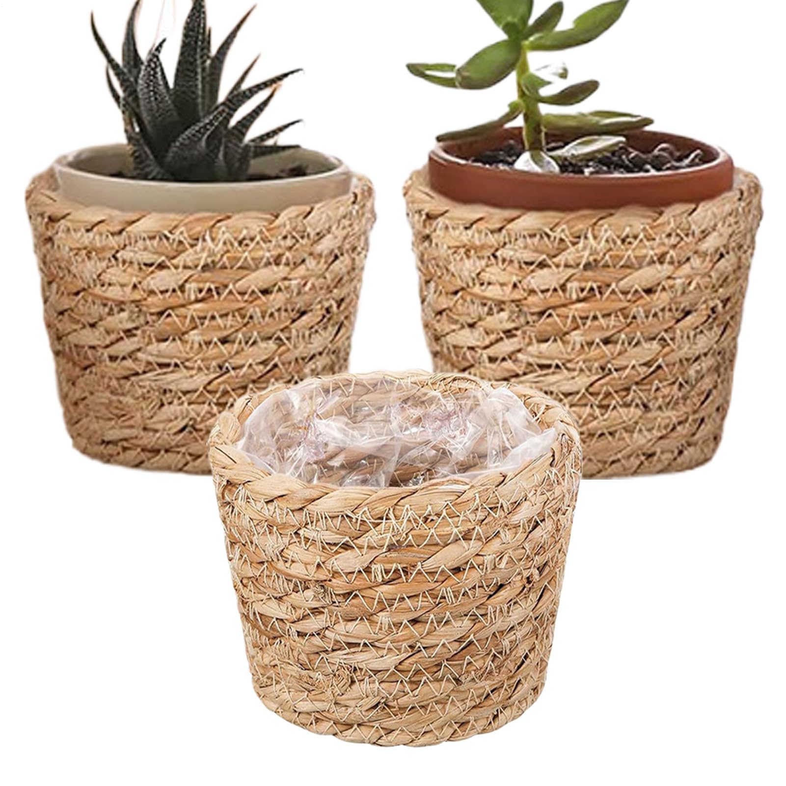 Jardinière panier étanche pour sublimer vos arbres d'intérieur sans tacher vos sols