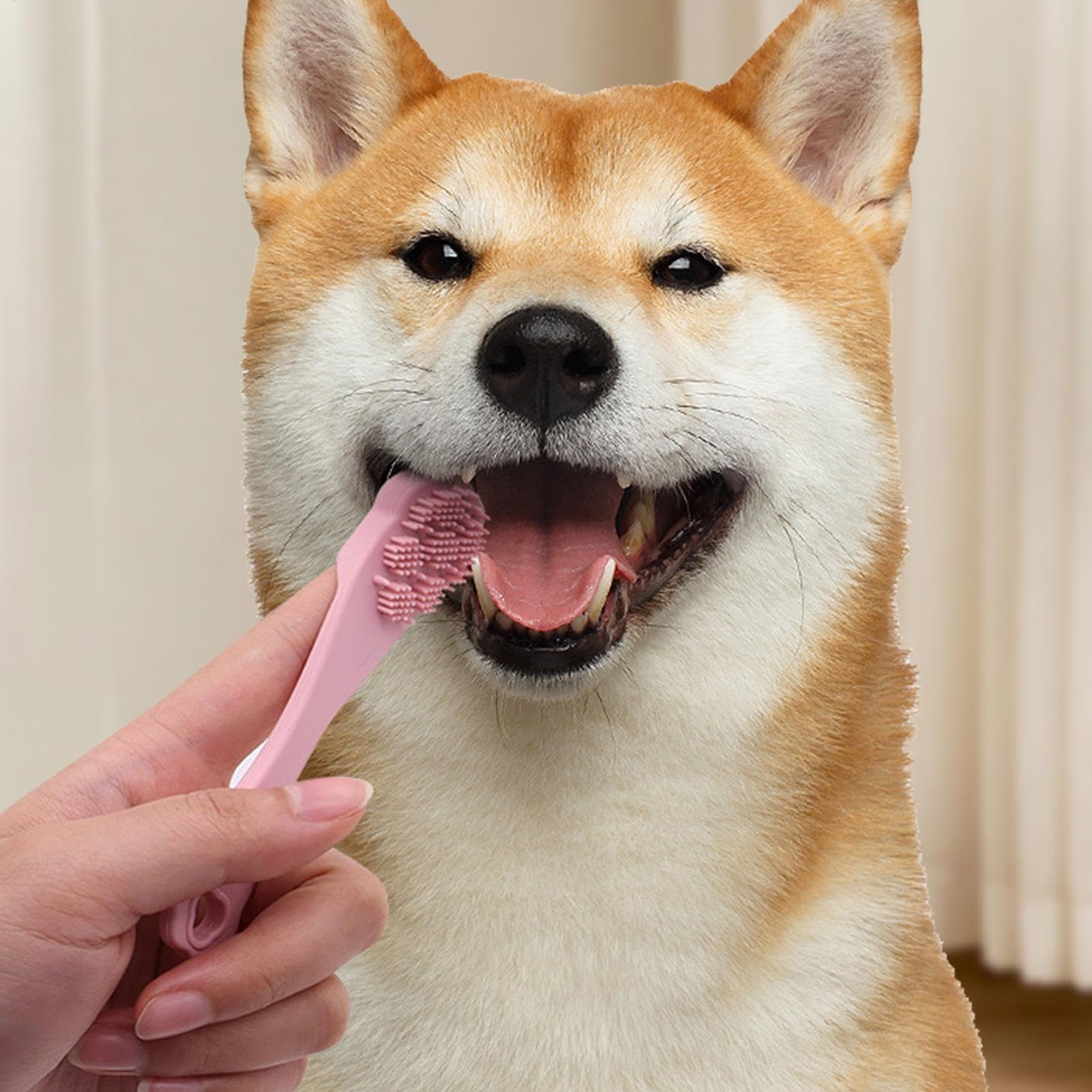 Spazzolino Da Denti Per Per Gatto, Pennello Per I Denti Dei Cani,Strumento Di Cura Orale Per Cucciolo - Spazzuccio Da Denti Dita A Setole Morbide Per La Pulizia Dei Denti Da Compagnia E La Cura O