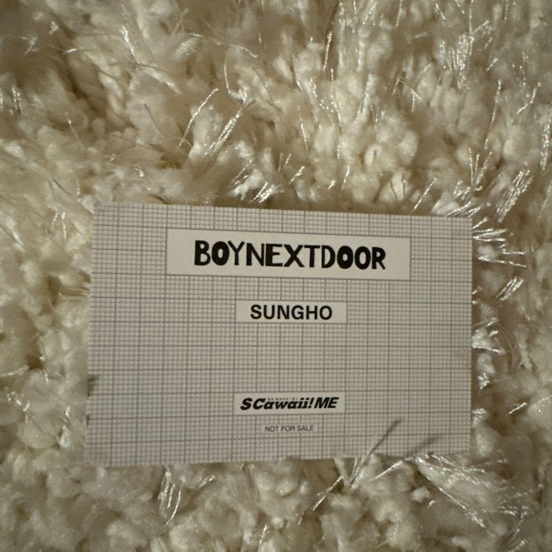 Amazon.co.jp: ボネクド ボイネク ソンホ 証明写真 SCawaii : おもちゃ