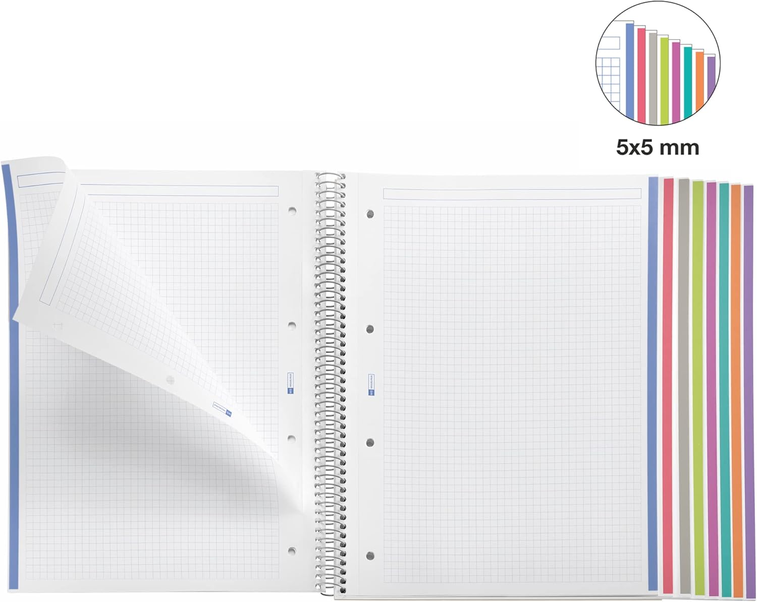 Miquelrius - Pack of 3 A4 notebooks, The Original Modern notebook, 8 coloured stripes, polypropylene cover, 4 holes for filing, 200 sheets of 70 g/m², squared notebook 5 x 5 mm