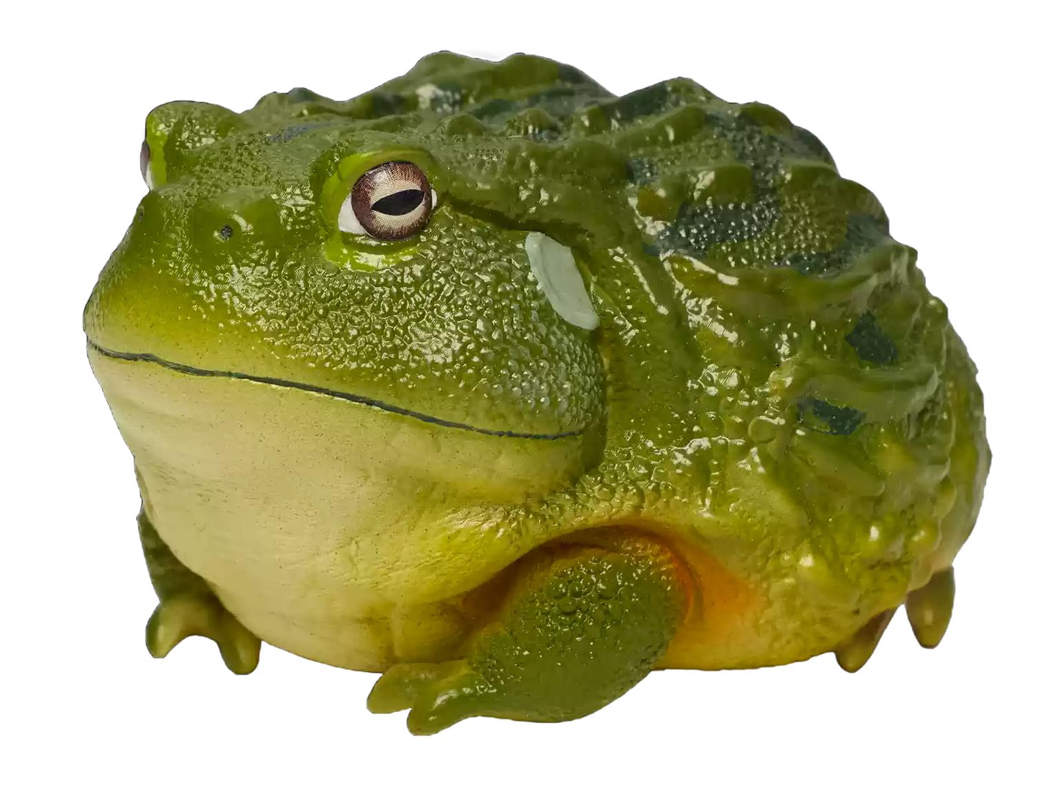 Amazon.co.jp: 【動物の惑星】アフリカウシガエル フィギュア完成品