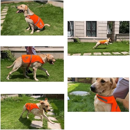 Miniatura 5 de Chaleco reflectante para perro, chaleco naranja de alta visibilidad, chaleco de seguridad para perros para caminar, trotar o entrenar, talla S