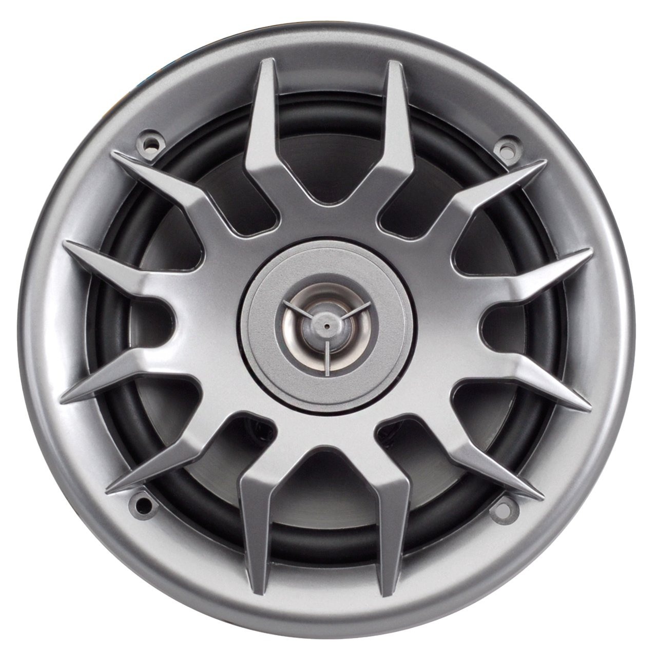 Marine Audio Speakers, 80 Watts, 6.5 Inch, Water Resistant, UV-Resistant, with Metallic Dome Tweeter, High-Performance Marine, RV & Vehicle Upgrade (Silver)
