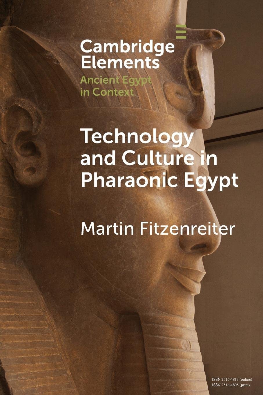 Technology and Culture in Pharaonic Egypt: Actor Network Theory and the Archaeology of Things and People (Elements in Ancient Egypt in Context)