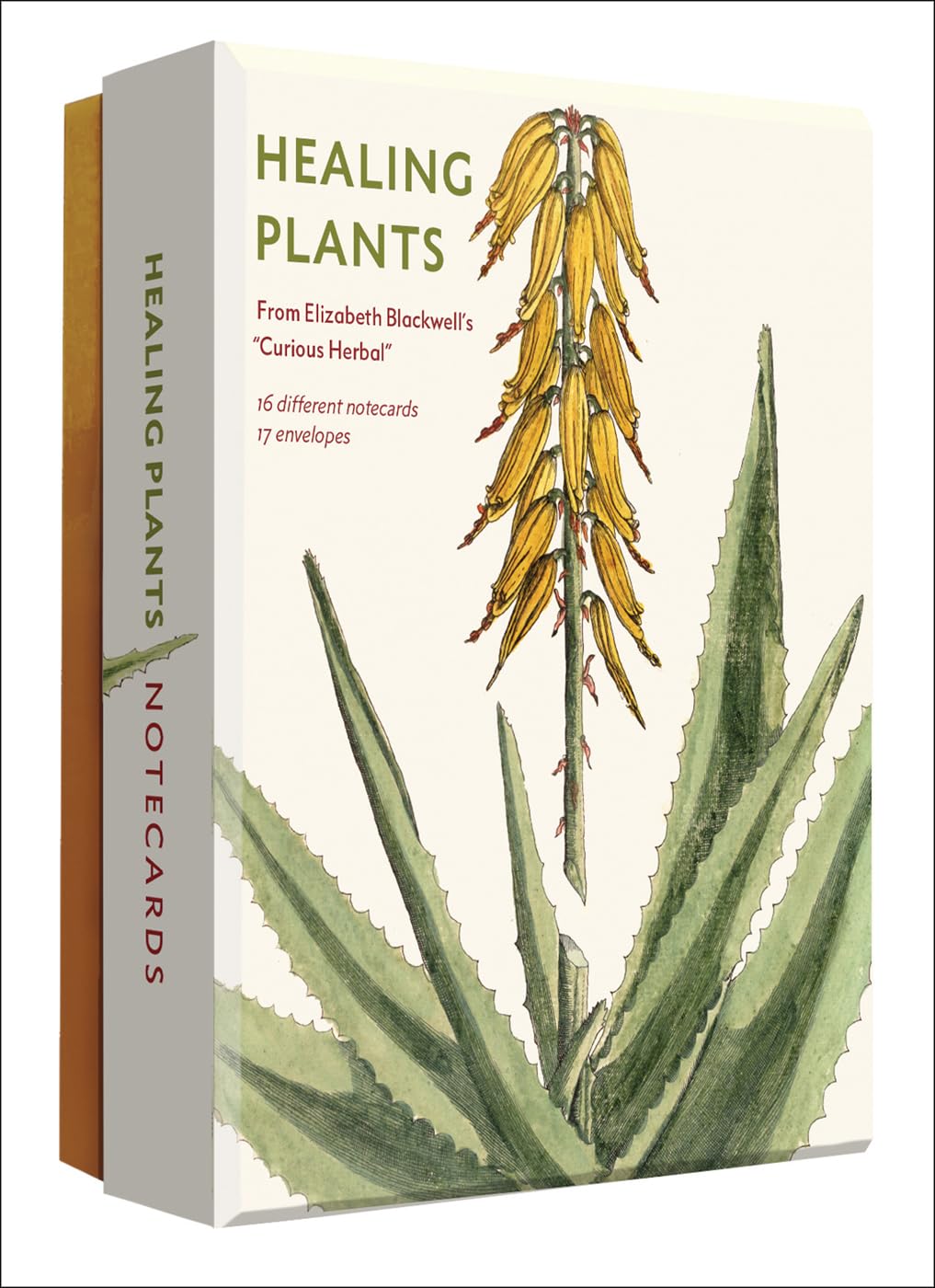 Healing Plants Detailed Notecard Set: From Elizabeth Blackwell's "Curious Herbal" (Detailed Notes) (Abbeville Notecards)