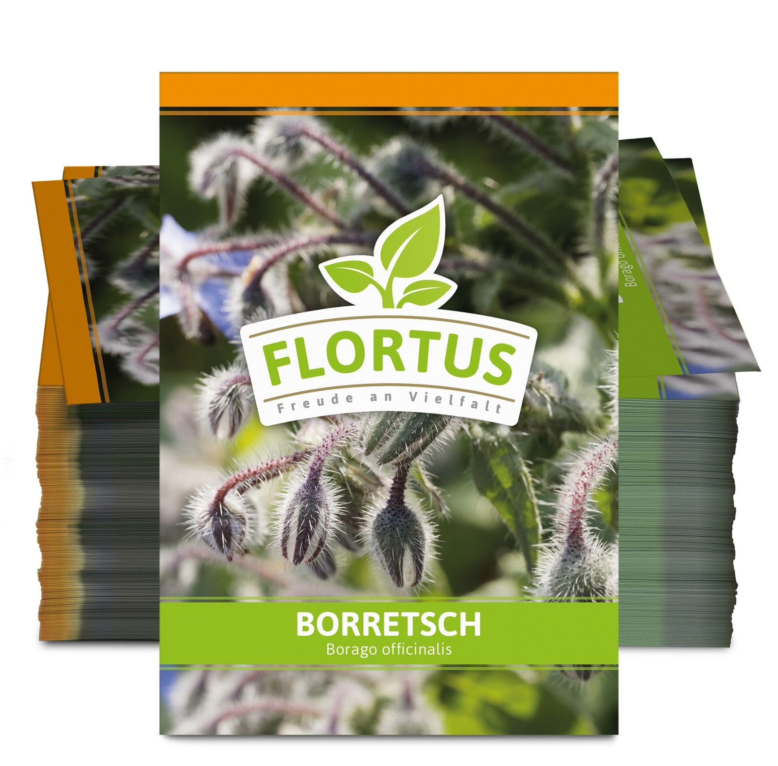 FLORTUS 2000-0452-100x Borretsch (100 Tütchen) (Borretschsamen)