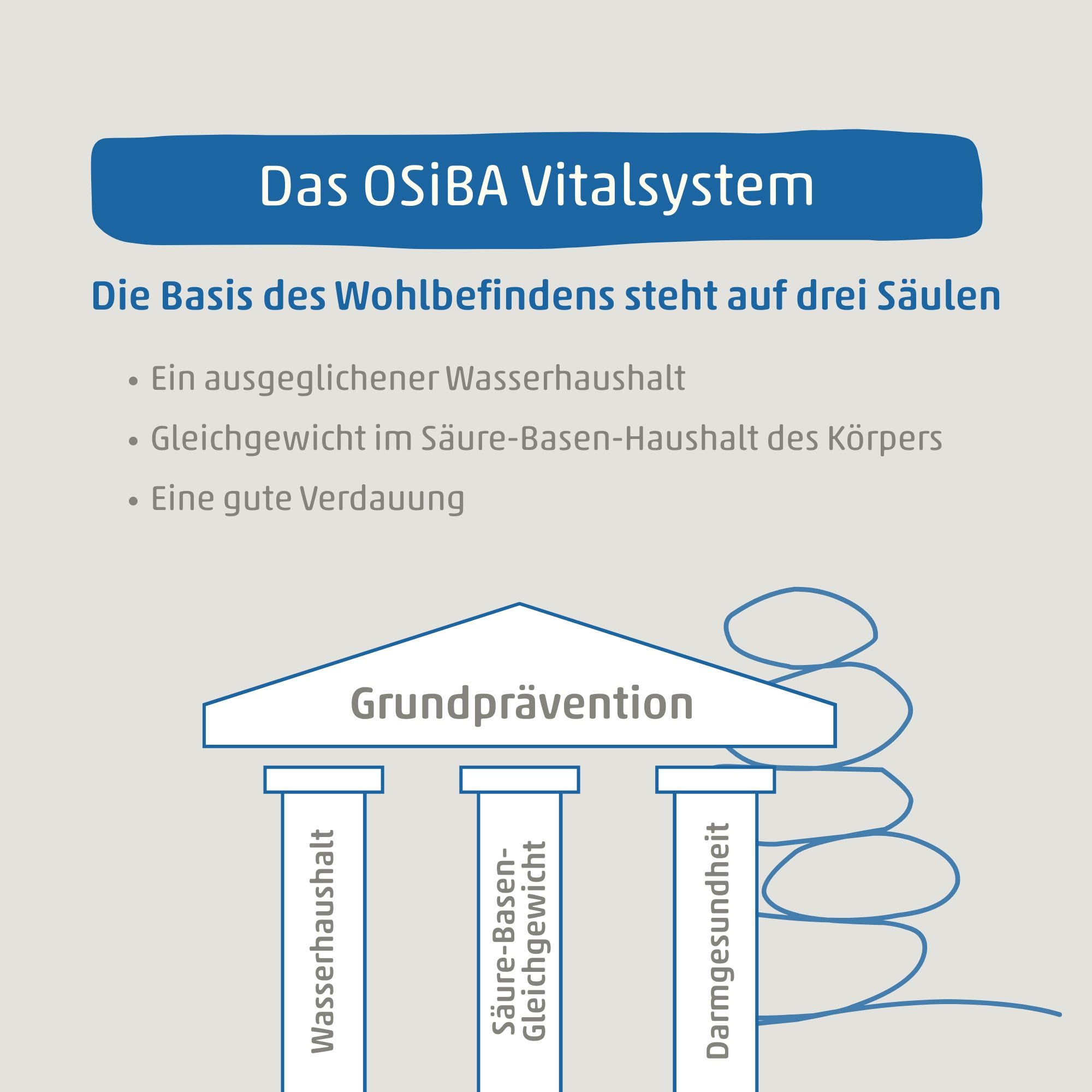 Emiko - OSiBA Basenbad - Basischer Badezusatz - 1400g für 15 Vollbäder - mineralischer Badezusatz für die sanfte Entsäuerung beim Baden
