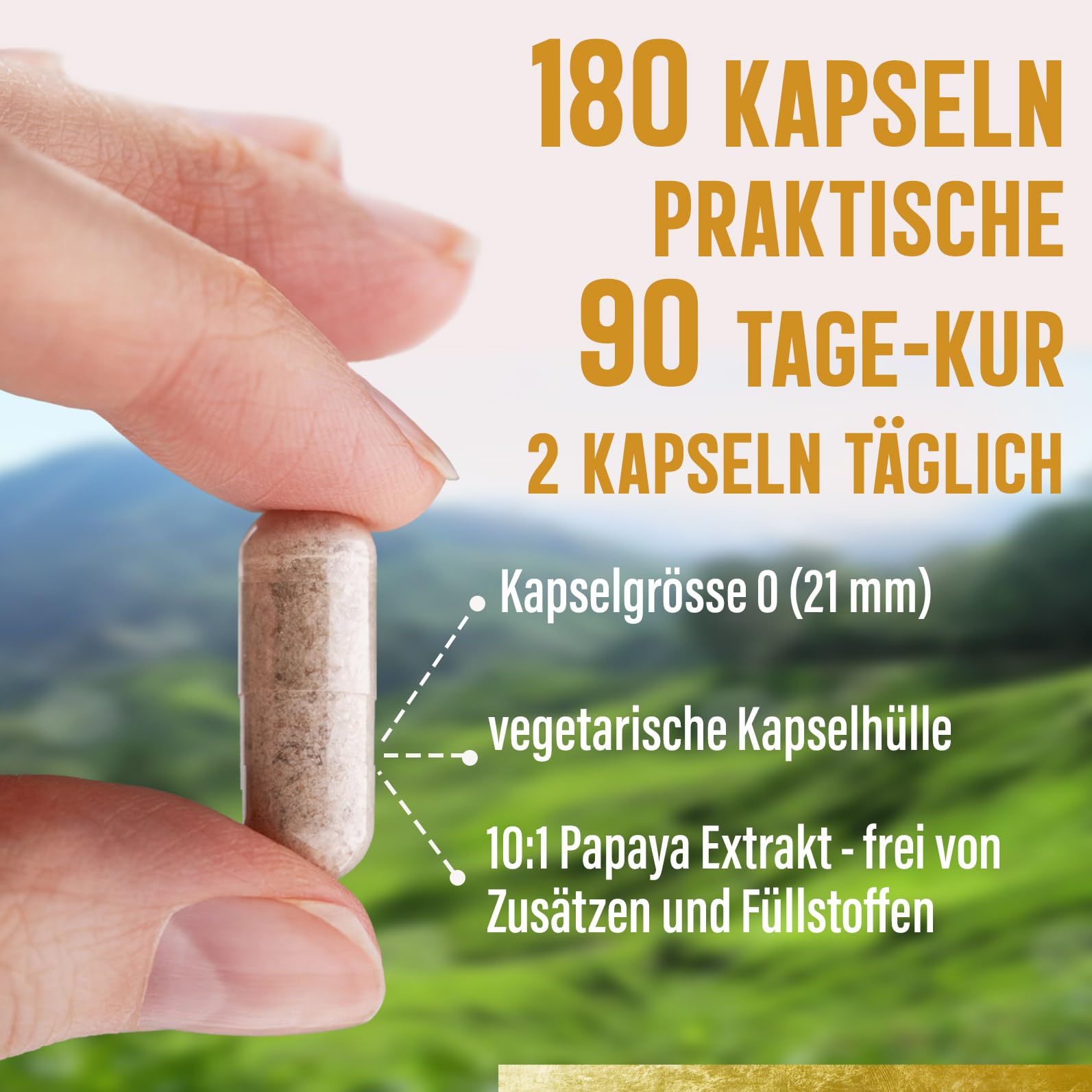 Papain Enzym Kapseln 100.000 u/g aus 10:1 Papaya Extrakt | 180 Stück – 1250 mg pro Tagesdosis (aus 12.500 mg Papaya !) | 3 Monatsvorrat Vegan – Dorado Superfoods®