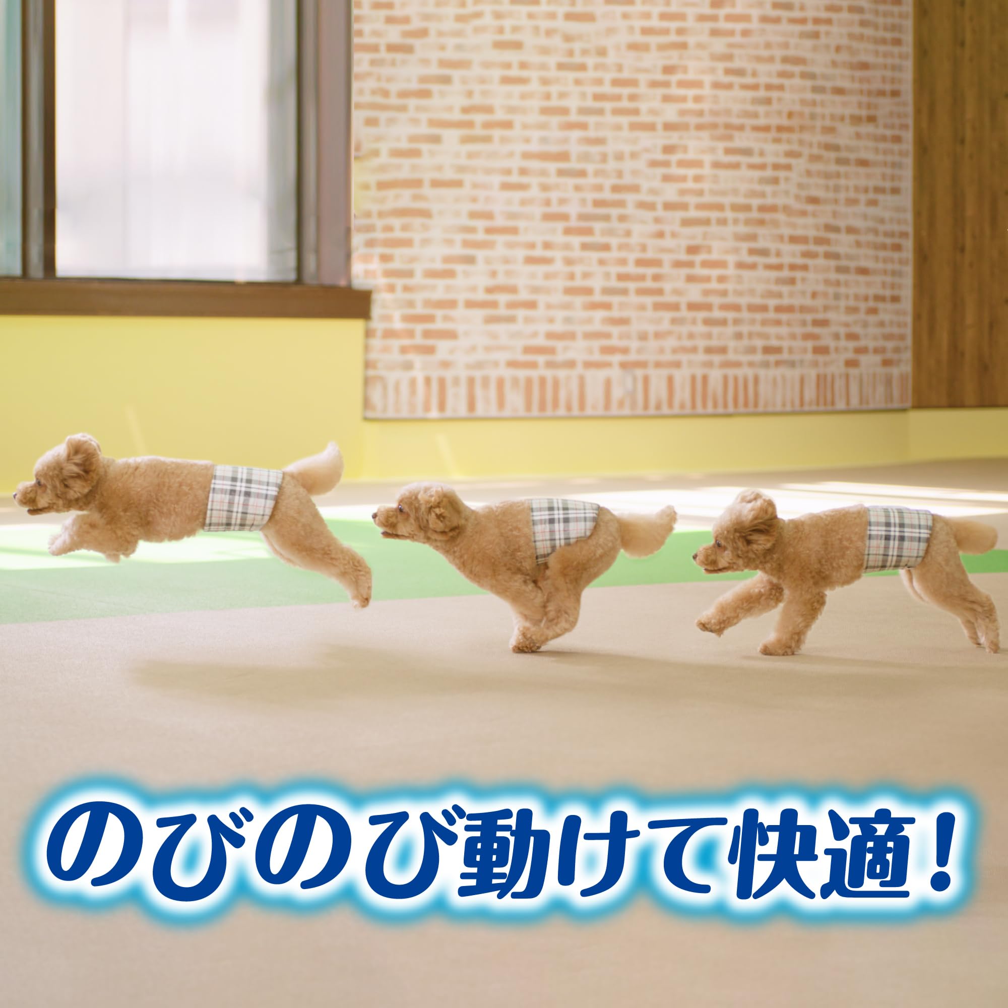 Amazon | マナーウェア 男の子用 L 中型犬用 42枚 [犬用おむつ