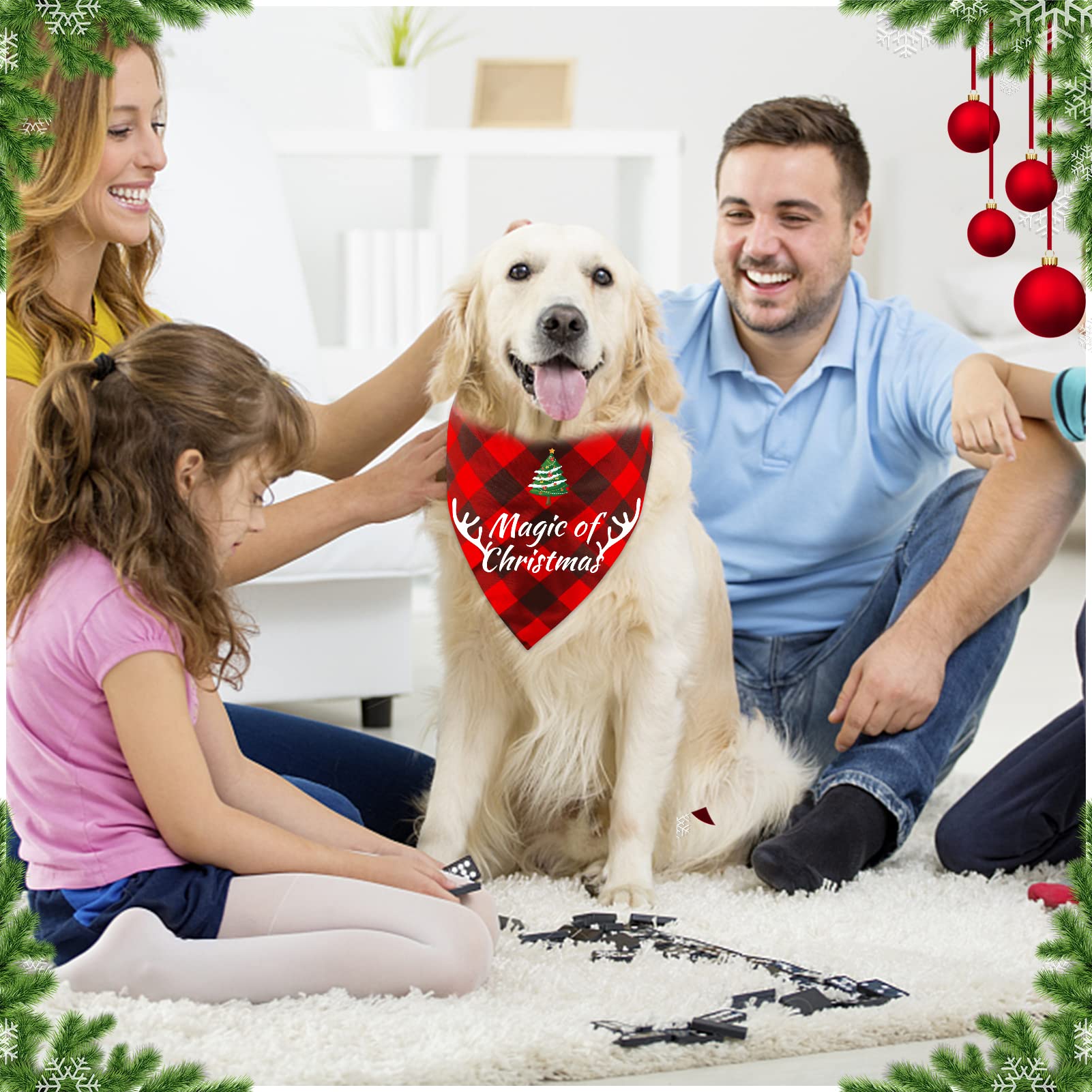https://m.media-amazon.com/images/I/71l66cfNQKL.jpg