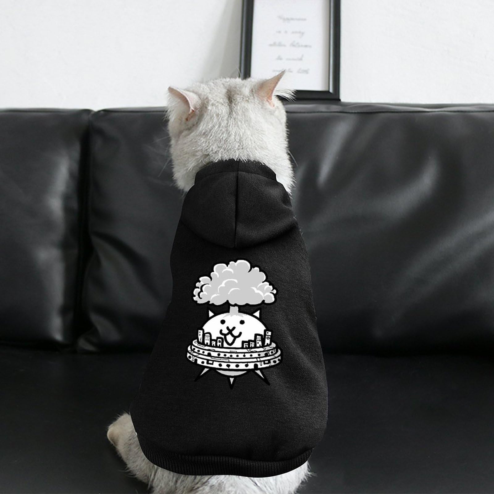 犬服にゃんこ服ハンドメイド♡細コーデュ上着♡おでかけに Amazon | にゃんこ大戦争 犬服 ペット服 小中型犬 犬用