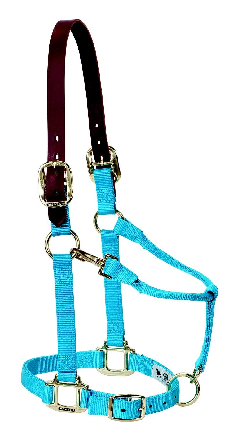 Weaver Equine Breakaway Horse Halter, Supple Leather Crown, Adjustable Brass Throat Snap Halters for Horses, Equine Tack