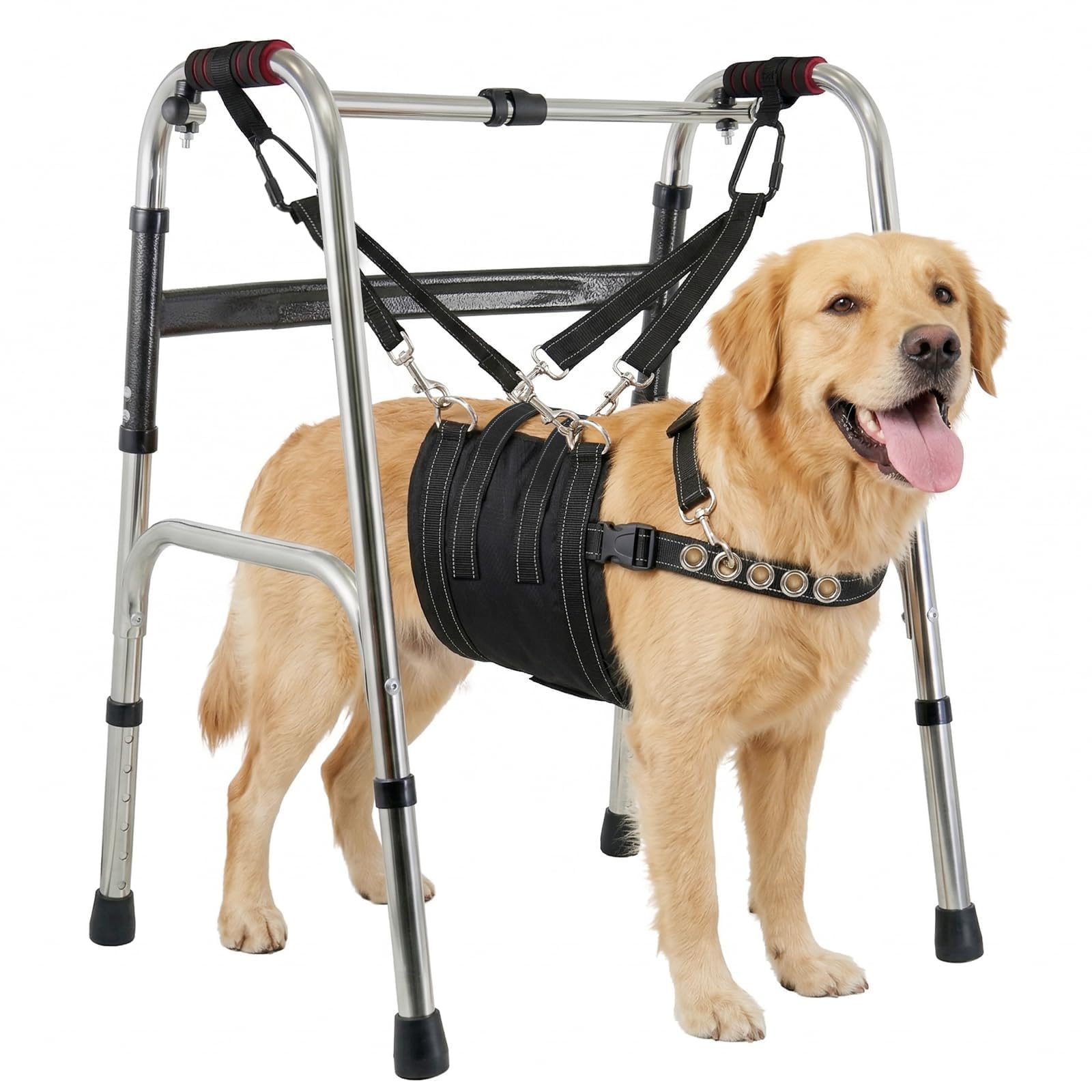 CWV Arnés de elevación ajustable para perros grandes con una ayuda de pie ajustable, suave y portátil, soporte para patas traseras, grande
