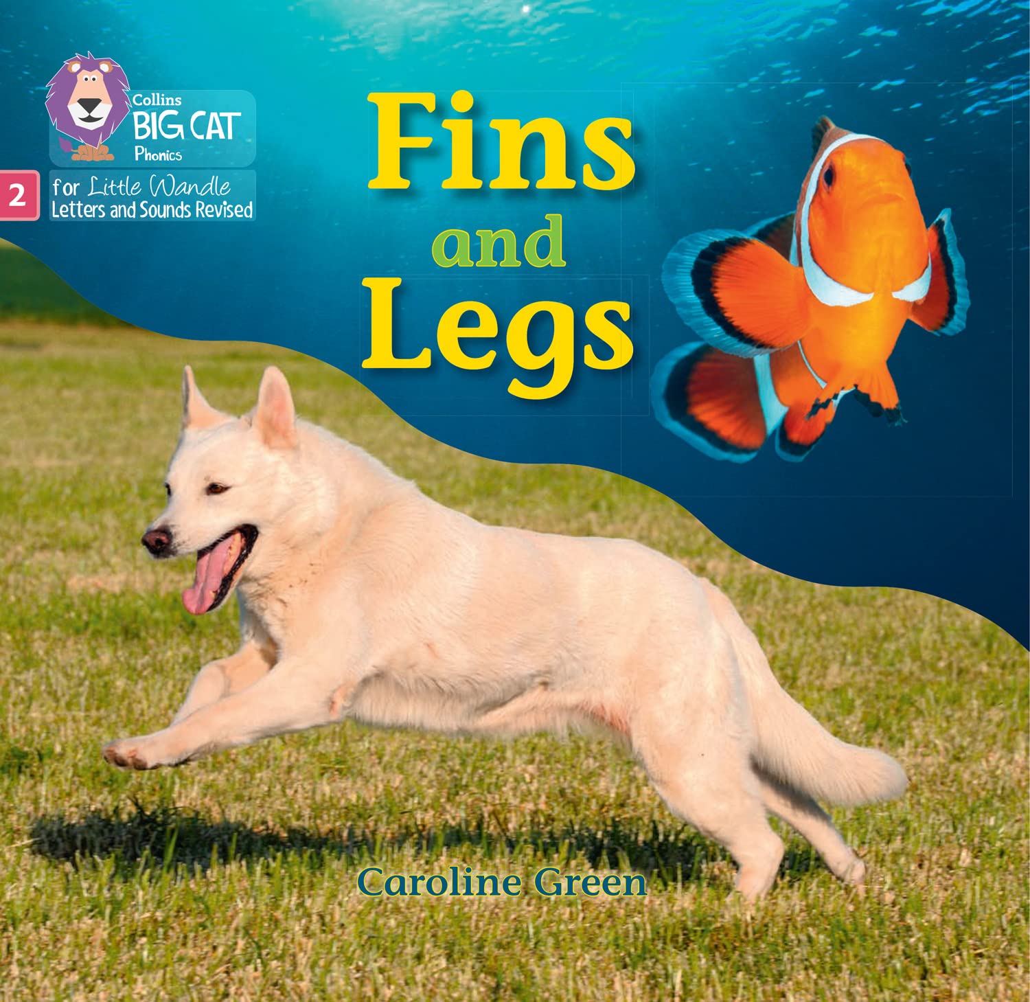 Fins and Legs by Caroline Green PAPERBACK 9780008540036