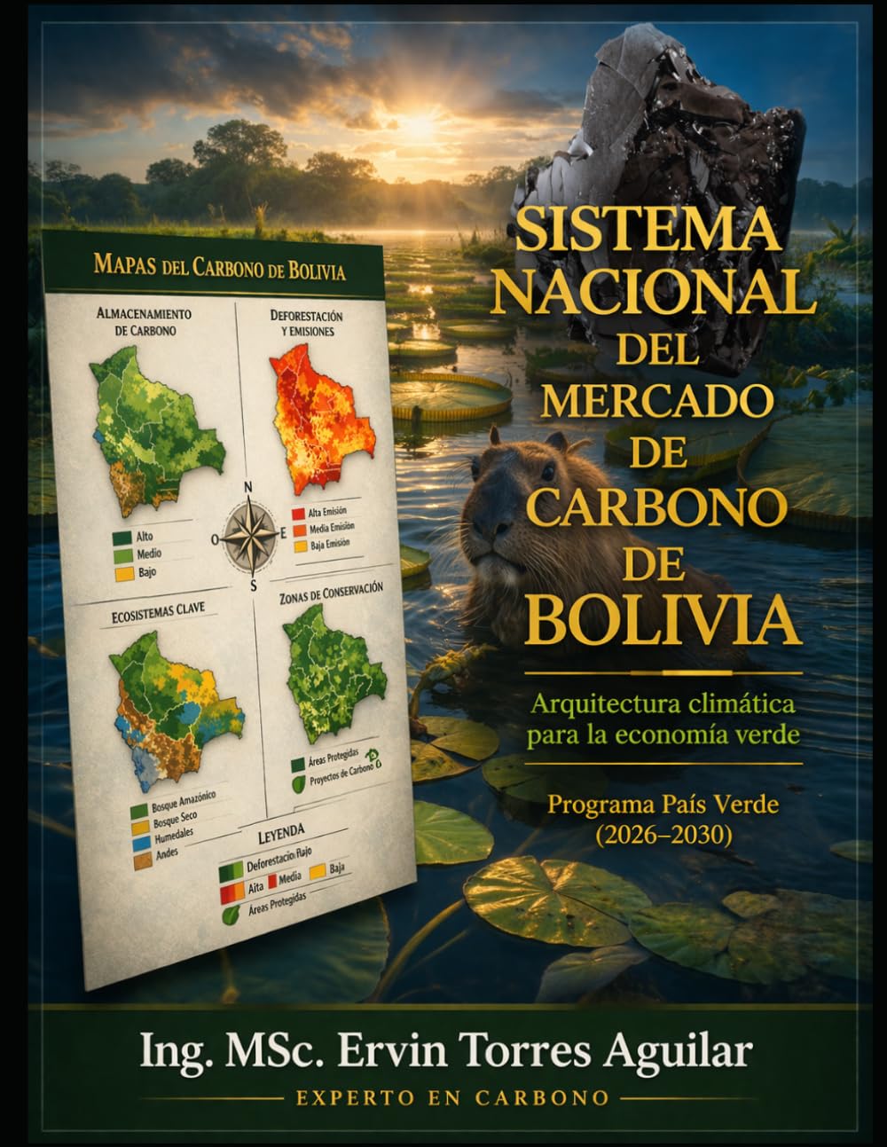 Sistema Nacional del Mercado de Carbono de Bolivia: Arquitectura climática para la economía verde