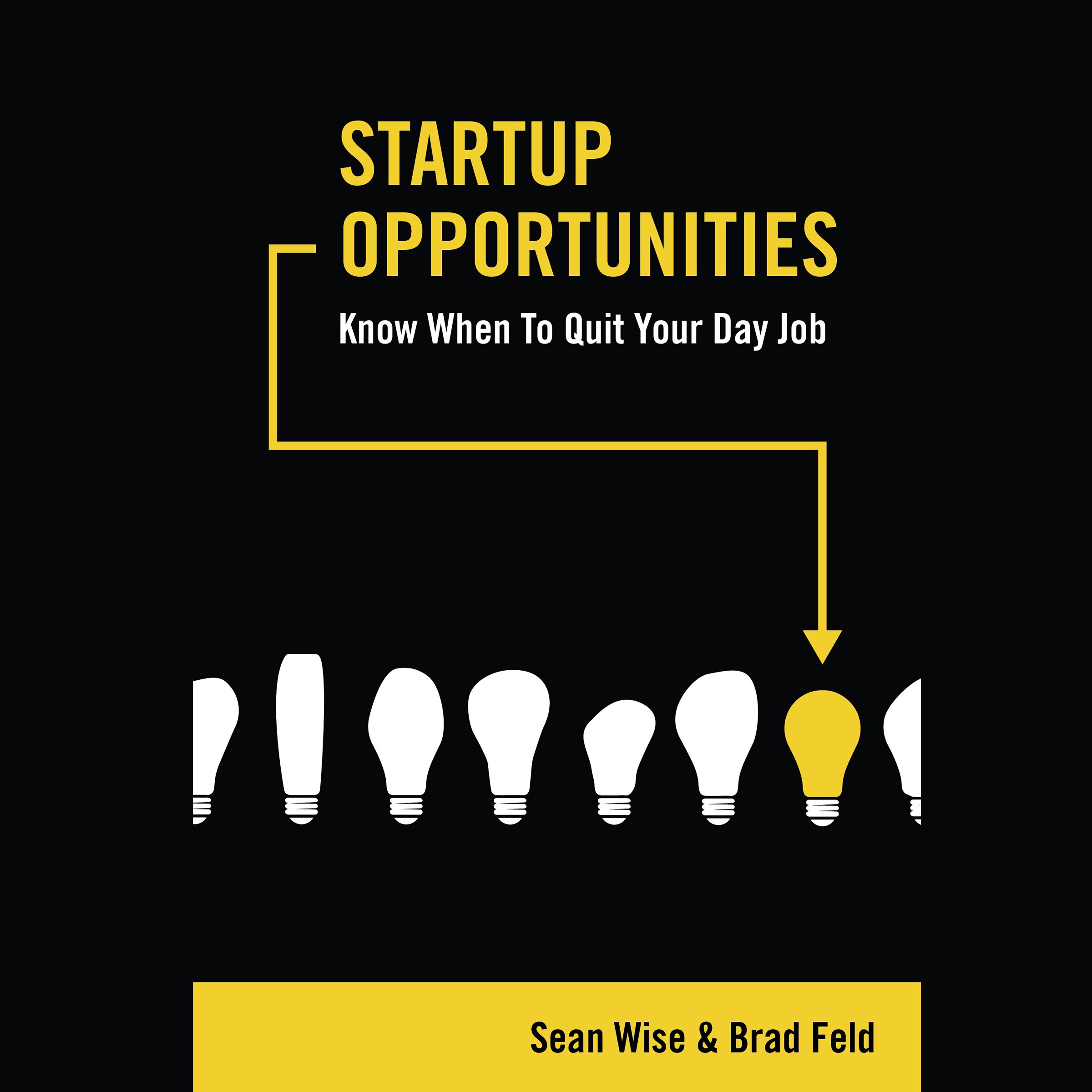 Cover art for Startup Opportunities