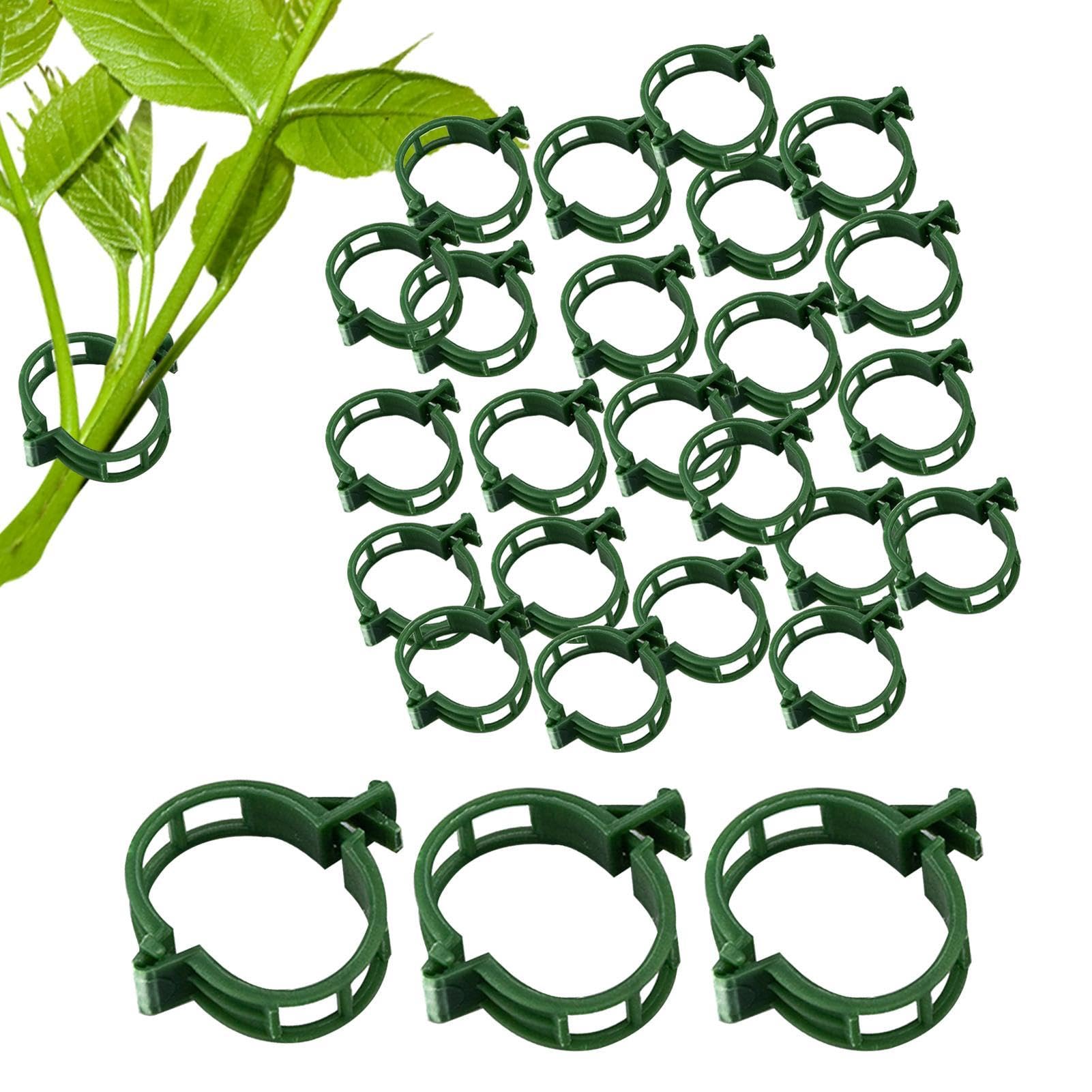即日発送★フォロー割全品10%OFF ポップクリップ クリップ200➕15 Amazon.co.jp: 植物用クリップ【300個セット】誘引クリップ 菜園クロス